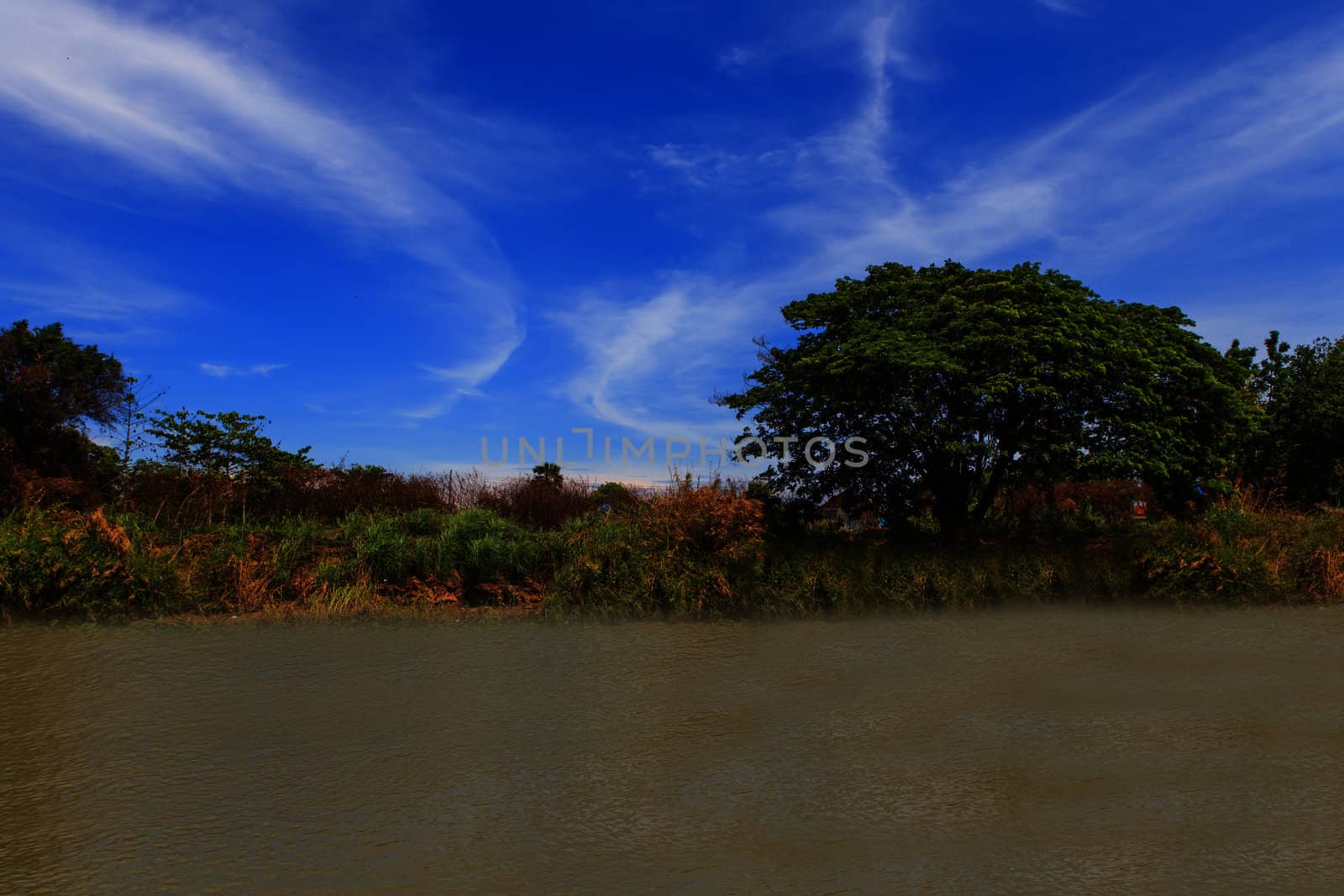 summer landscape with river and blue sky  take photo from river.