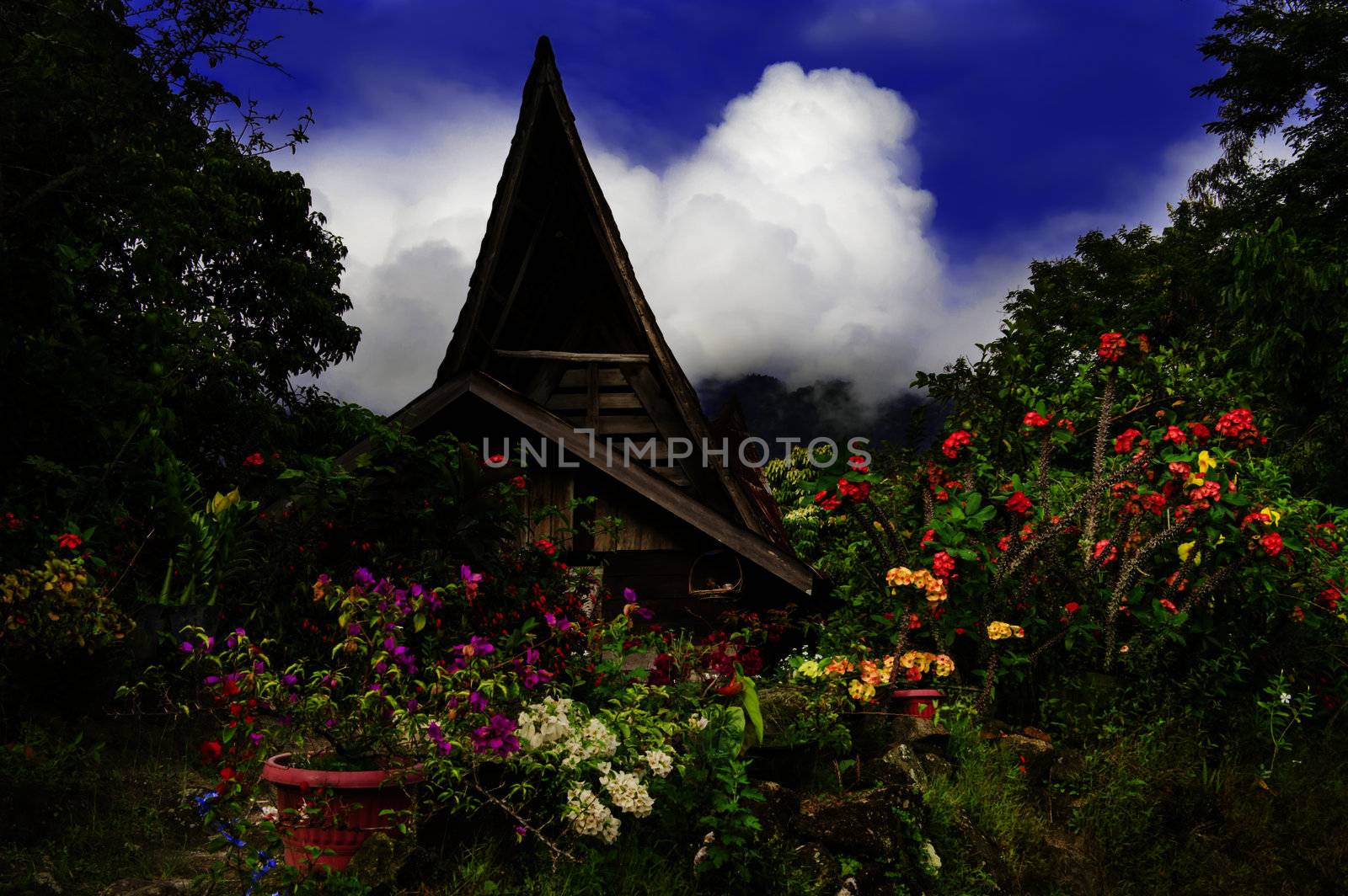 Flowers on background of batak style house.
Samosir Island, Lake Toba, North Sumatra, Indonesia.