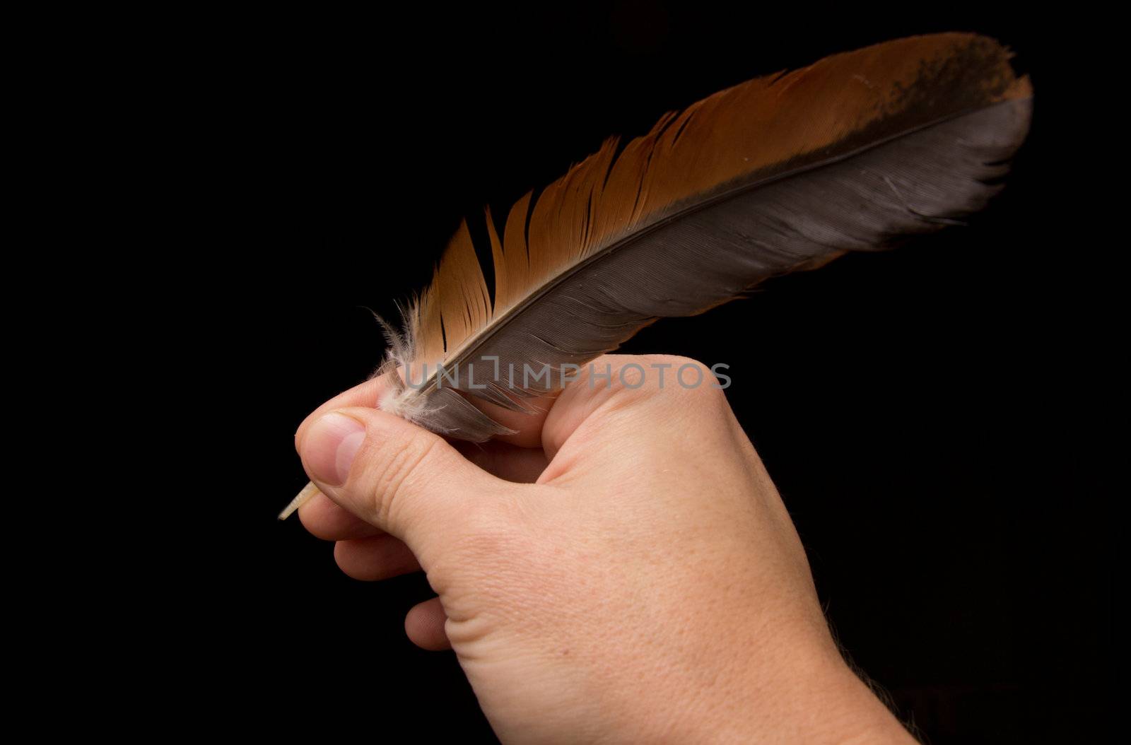 Hand writting with feather isolated on black background  by schankz