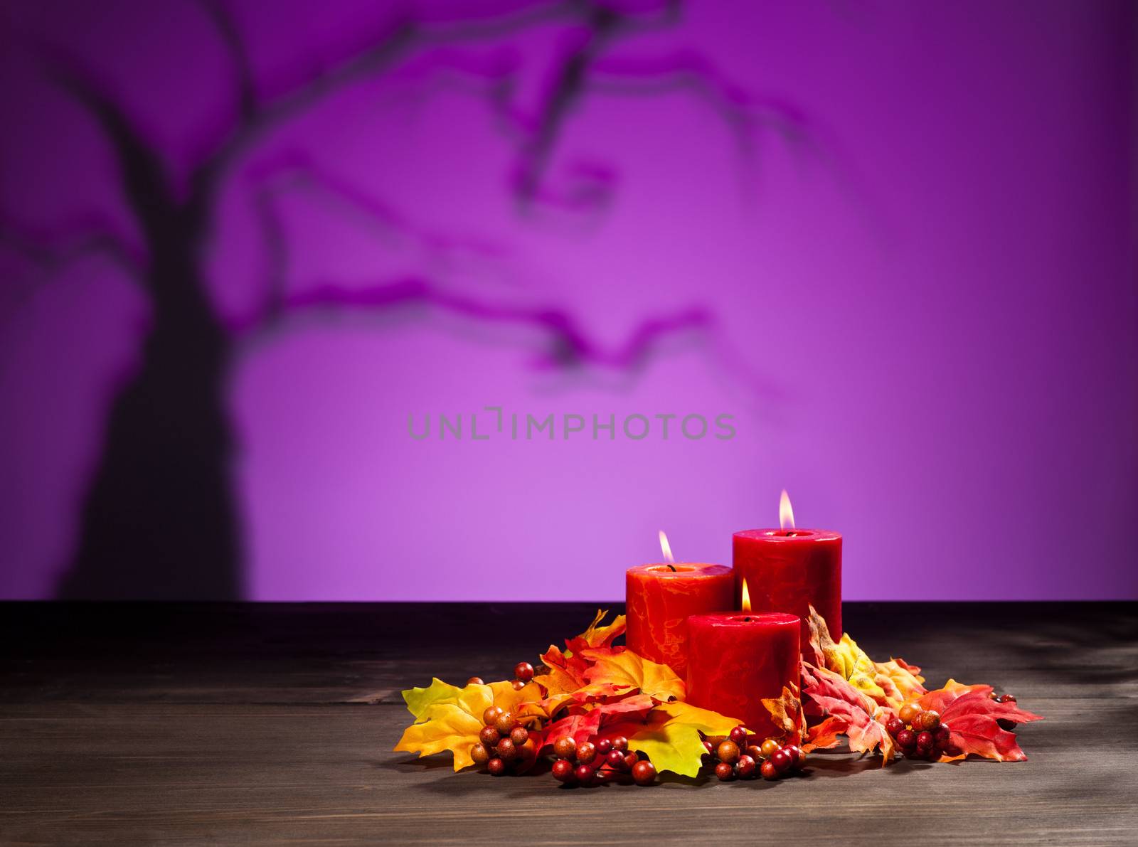 Candles in scary Halloween landscape with dry tree