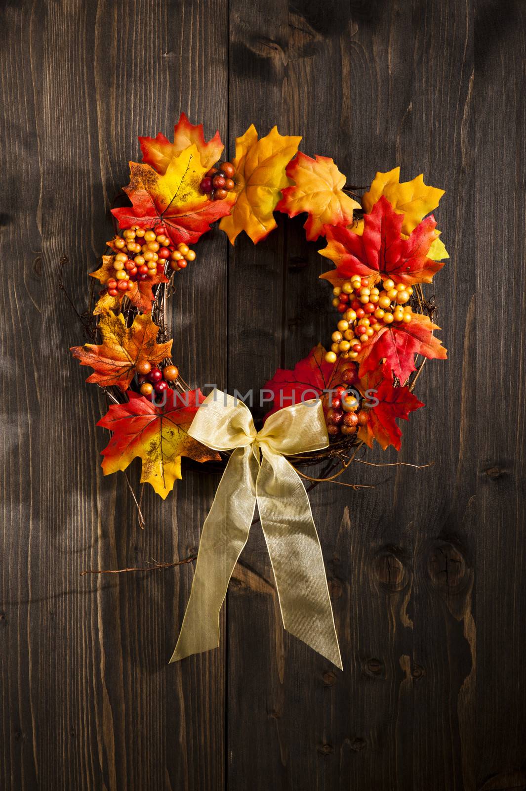 Autumn wreath  by 3523Studio