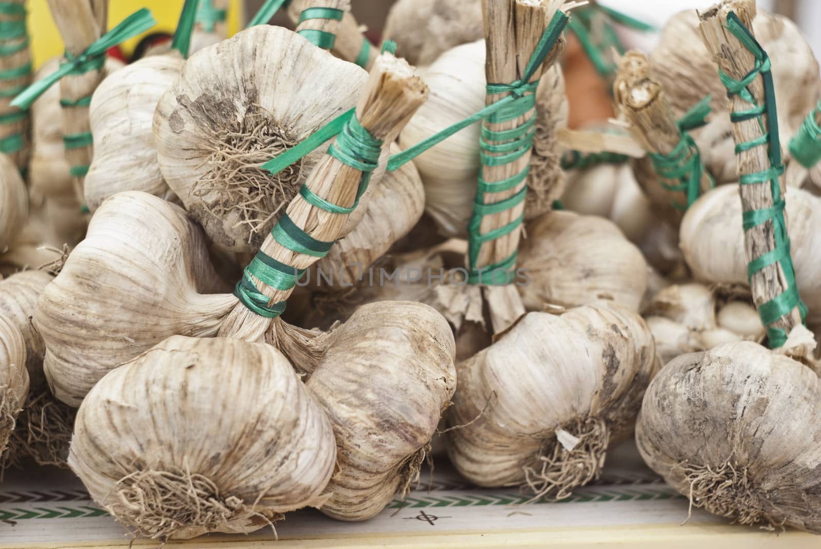 fresh garlic for sale by gandolfocannatella