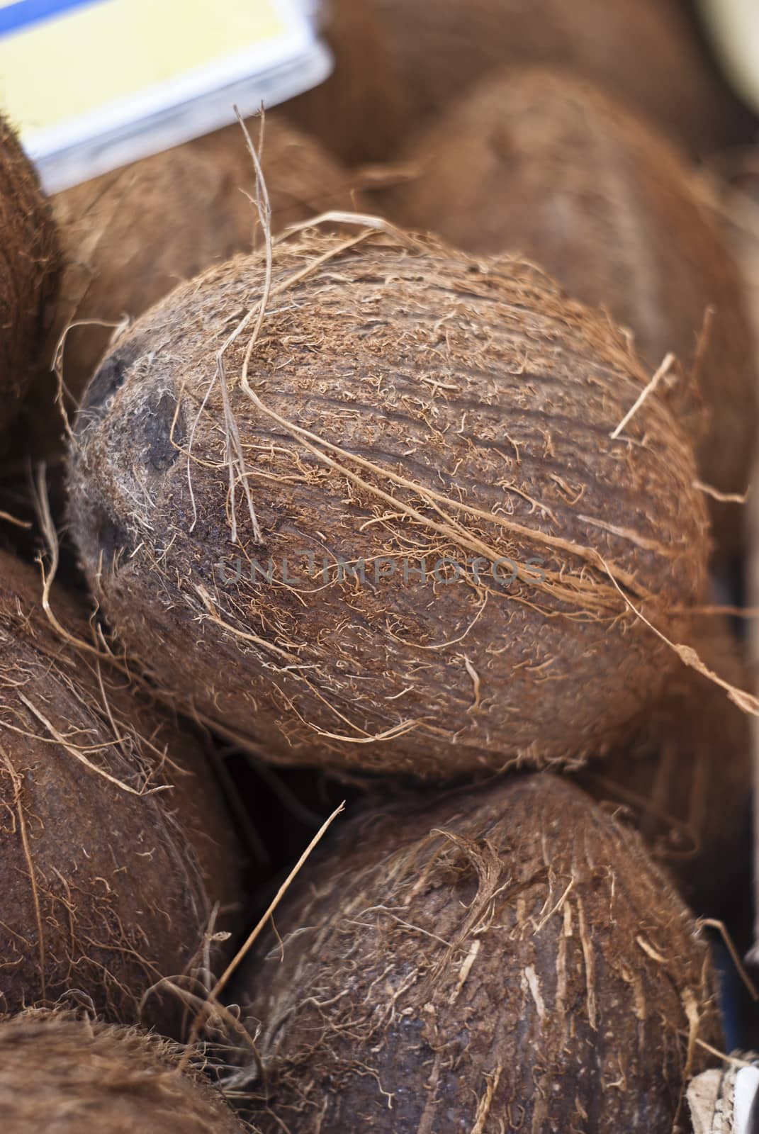 Tasty organic coconuts at local market