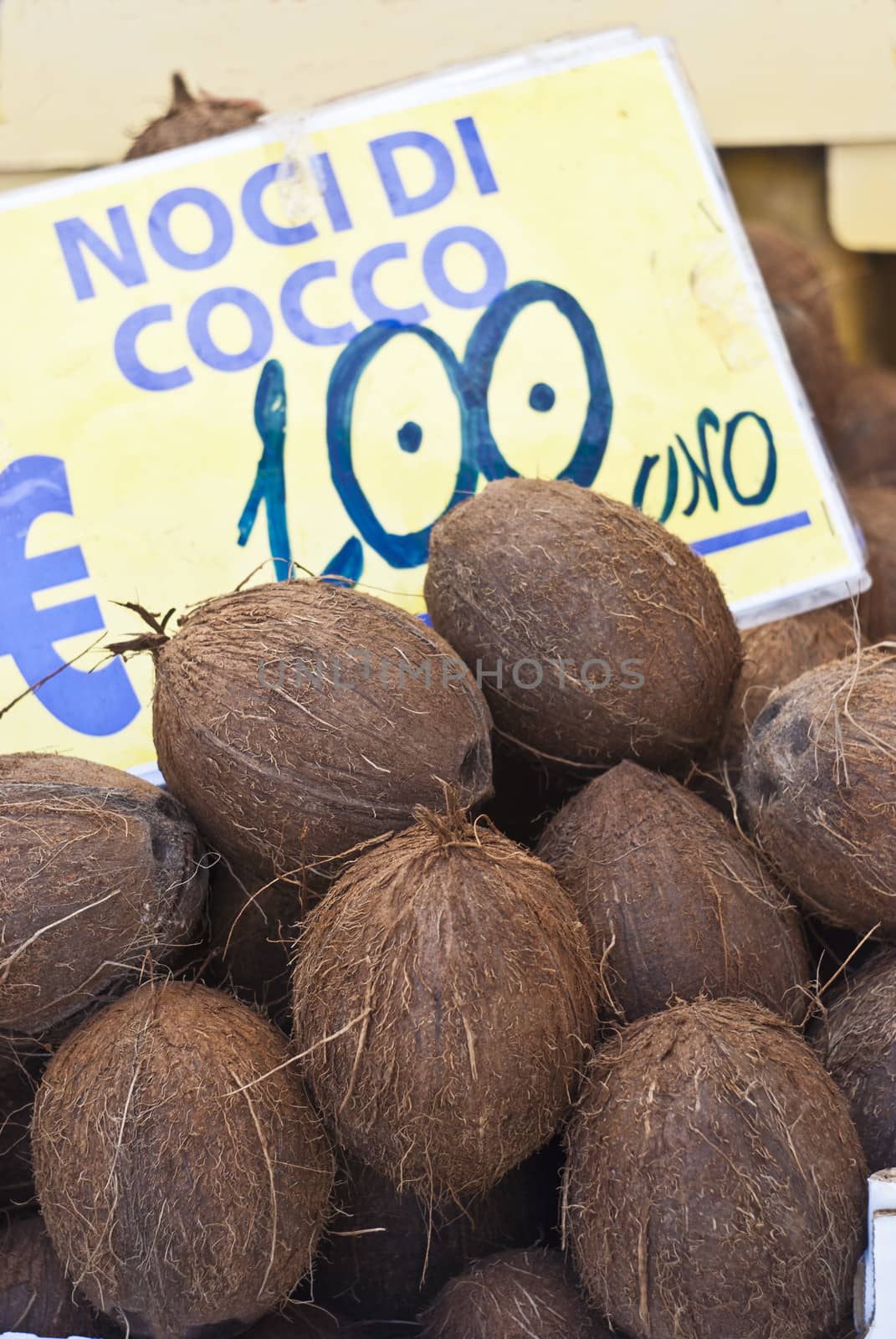 fresh coconuts at local market by gandolfocannatella