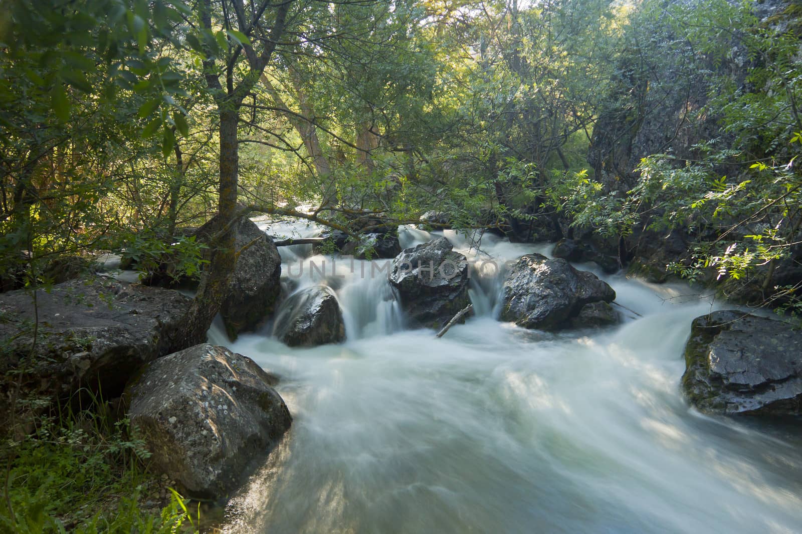 River Dulce stream with rocks in Guadalajara, Spain