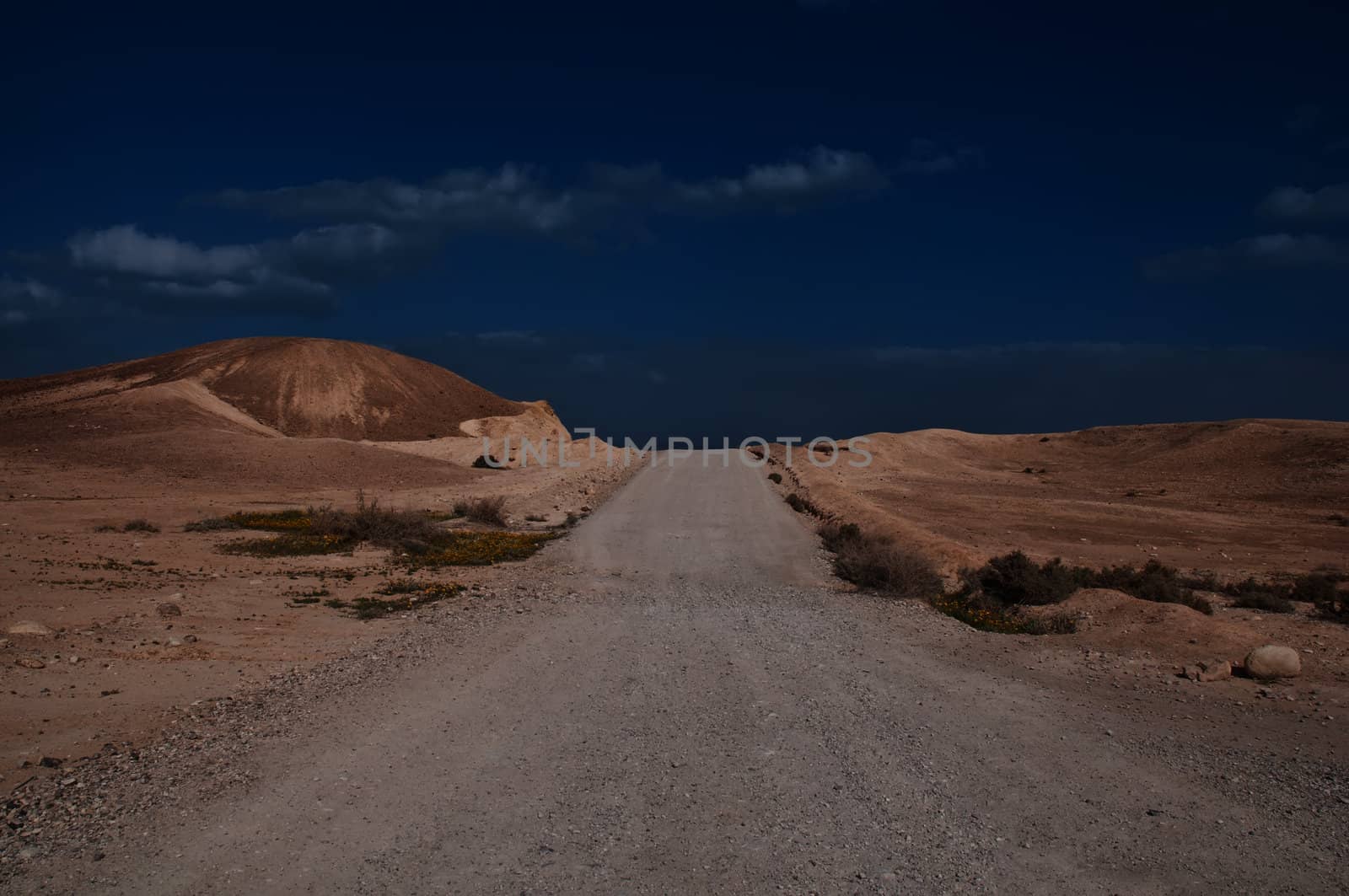 Road in the desert . Israel .