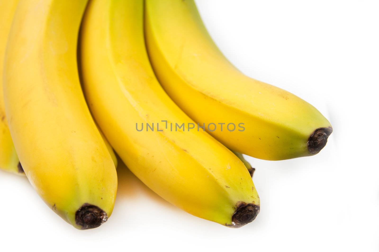 fresh bananas on white background by schankz