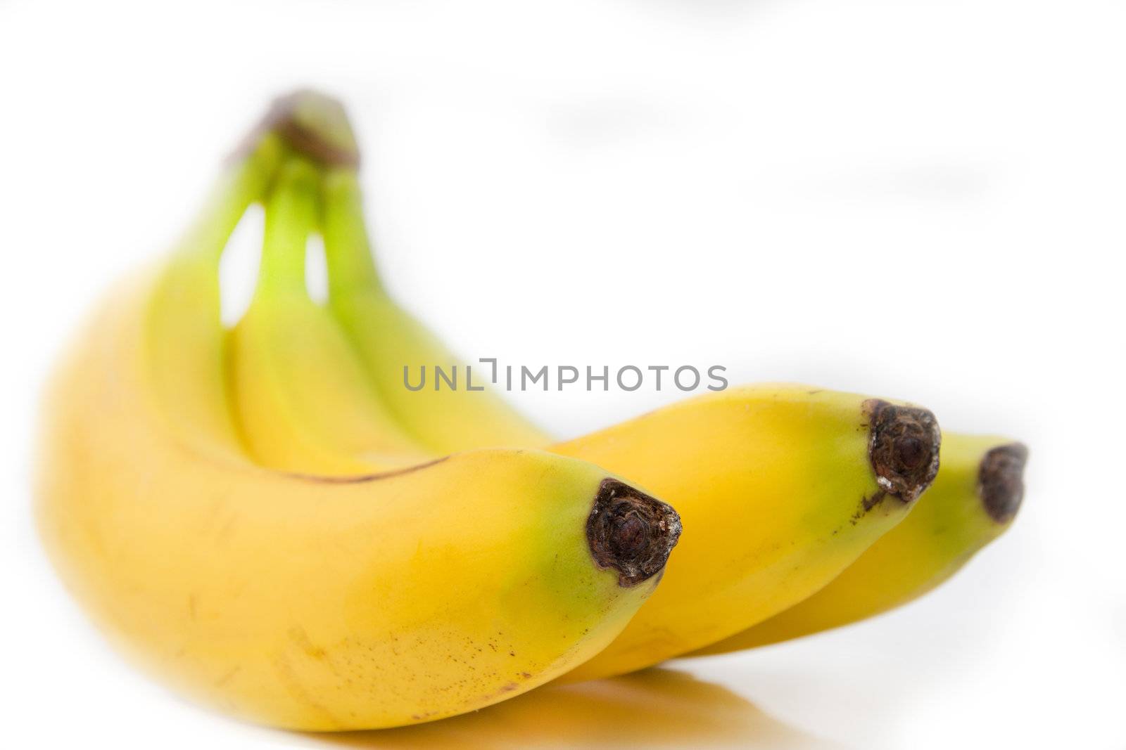 fresh bananas on white background by schankz