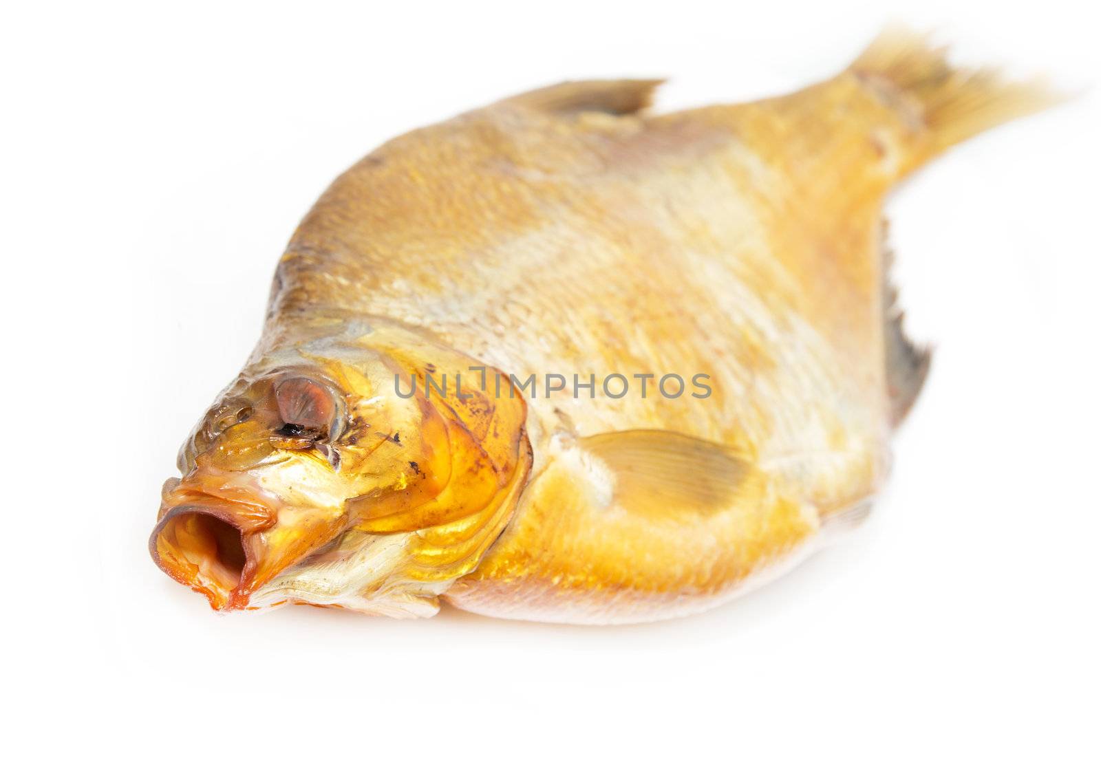 Smoked fish on a white background by schankz