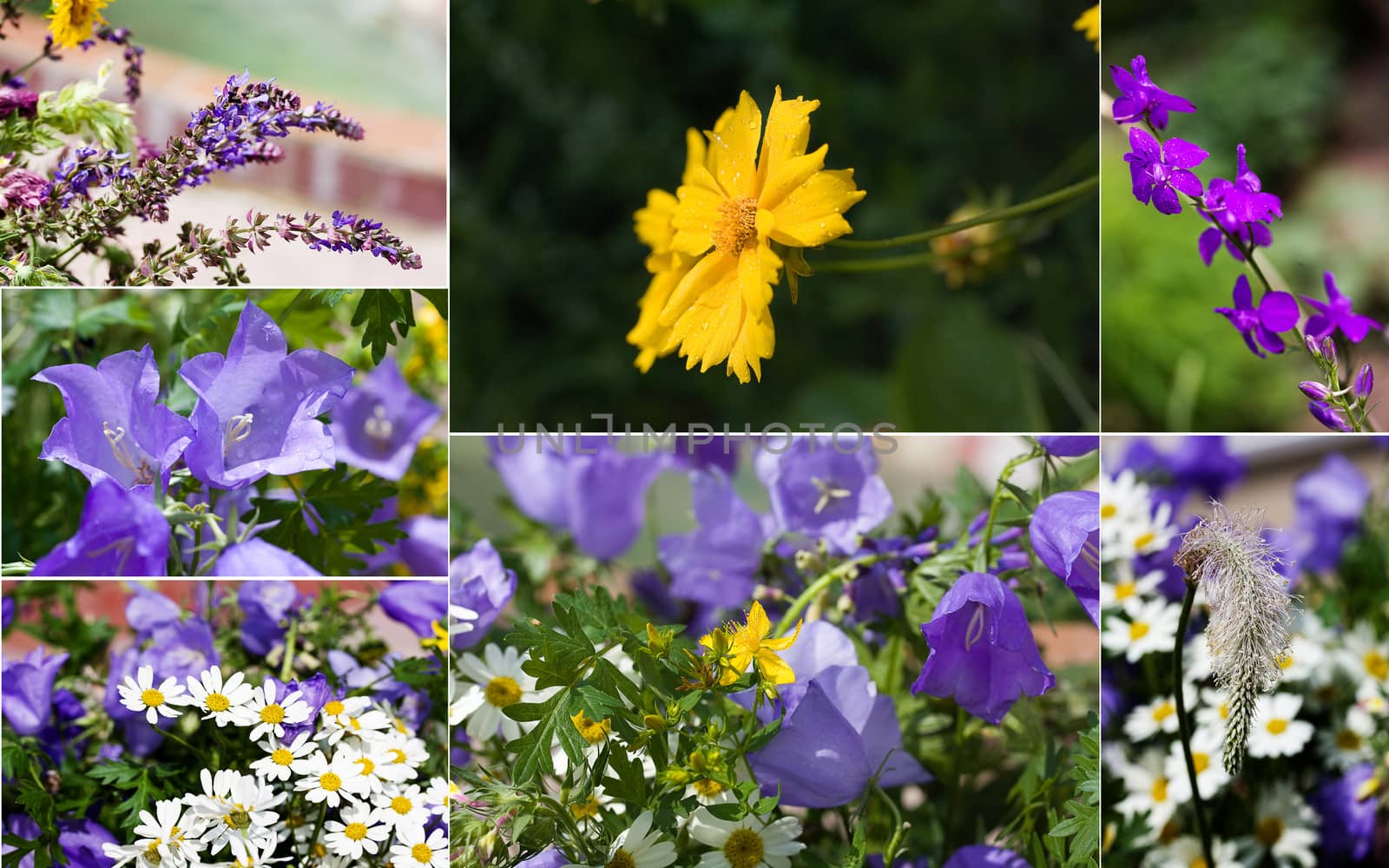 Spring flowers on a collage