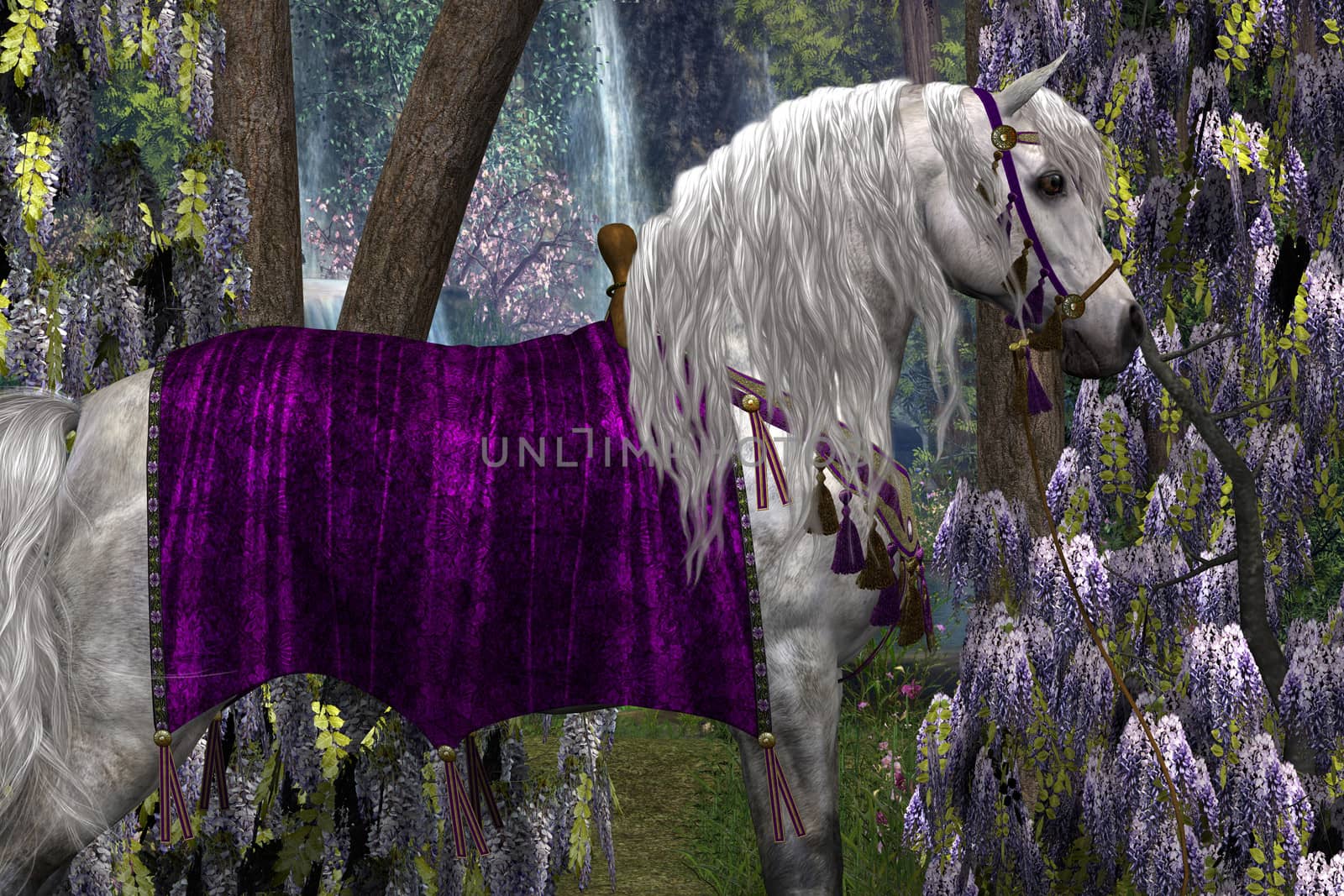 Portrait of a white Arabian stallion in fancy saddle and bridle with purple Wisteria flowers in the background..