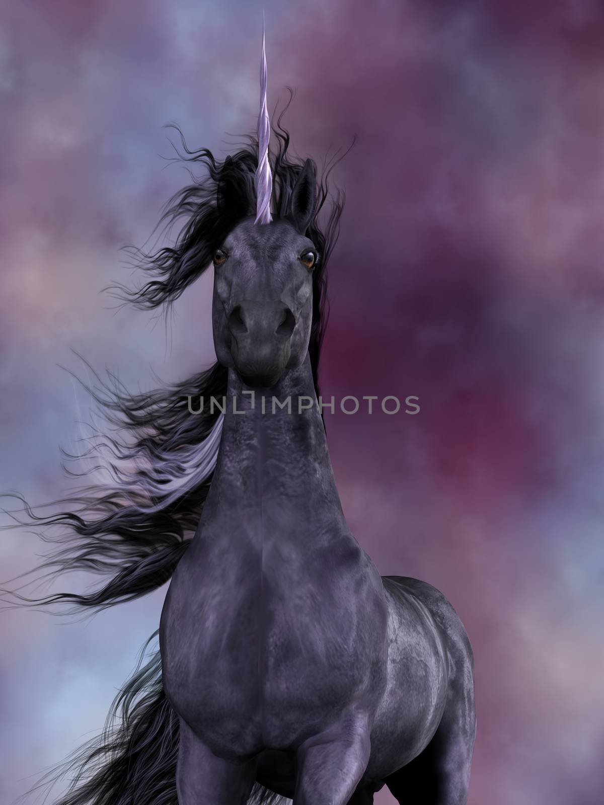 Black Unicorn by Catmando