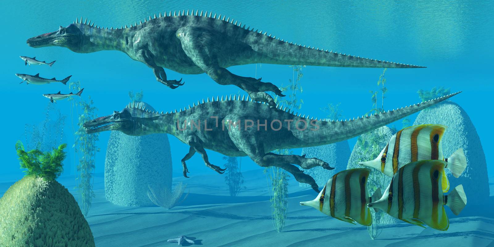 Two Suchomimus dinosaurs dive and search for big fish prey to capture and eat.