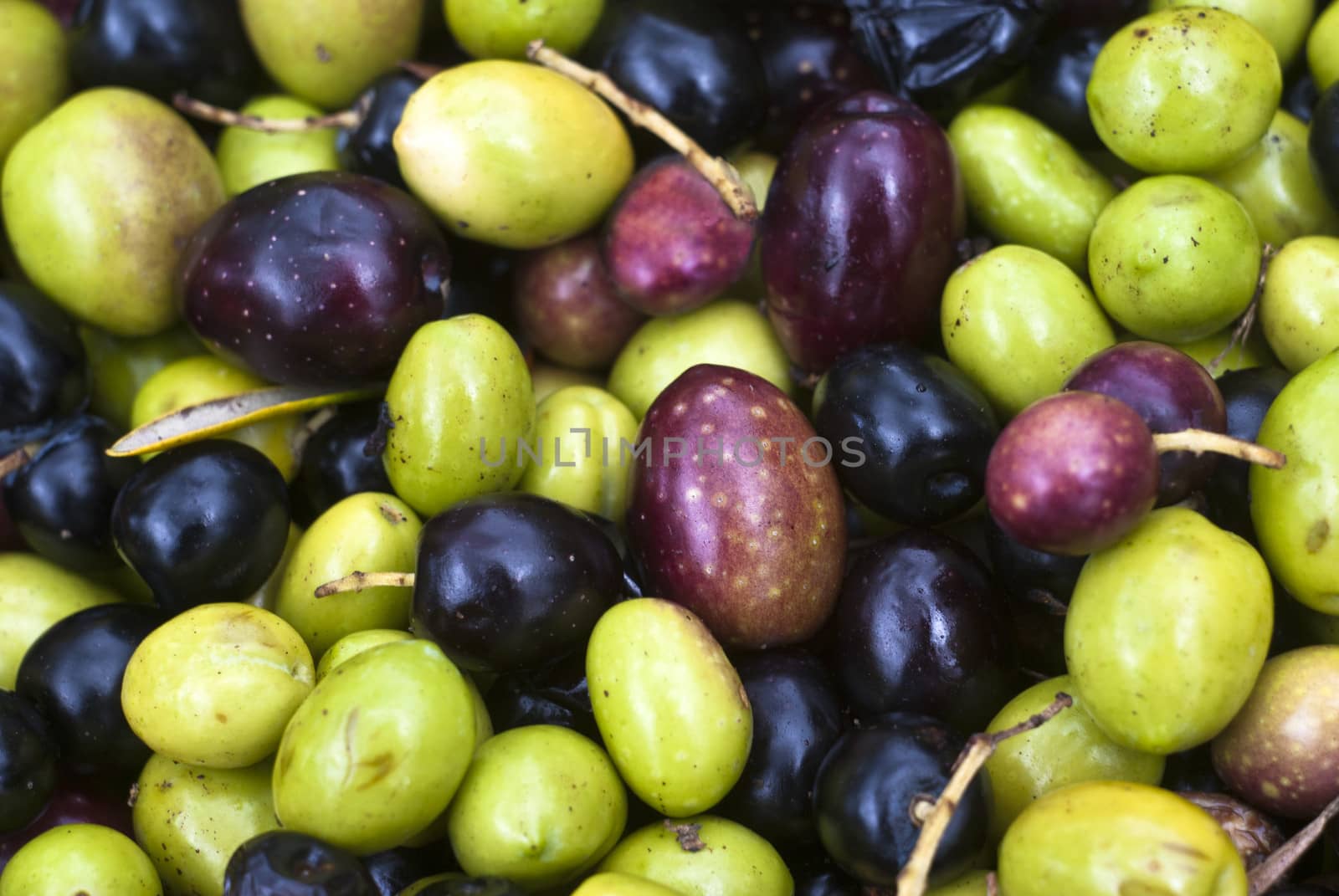 sicilian olives background by gandolfocannatella