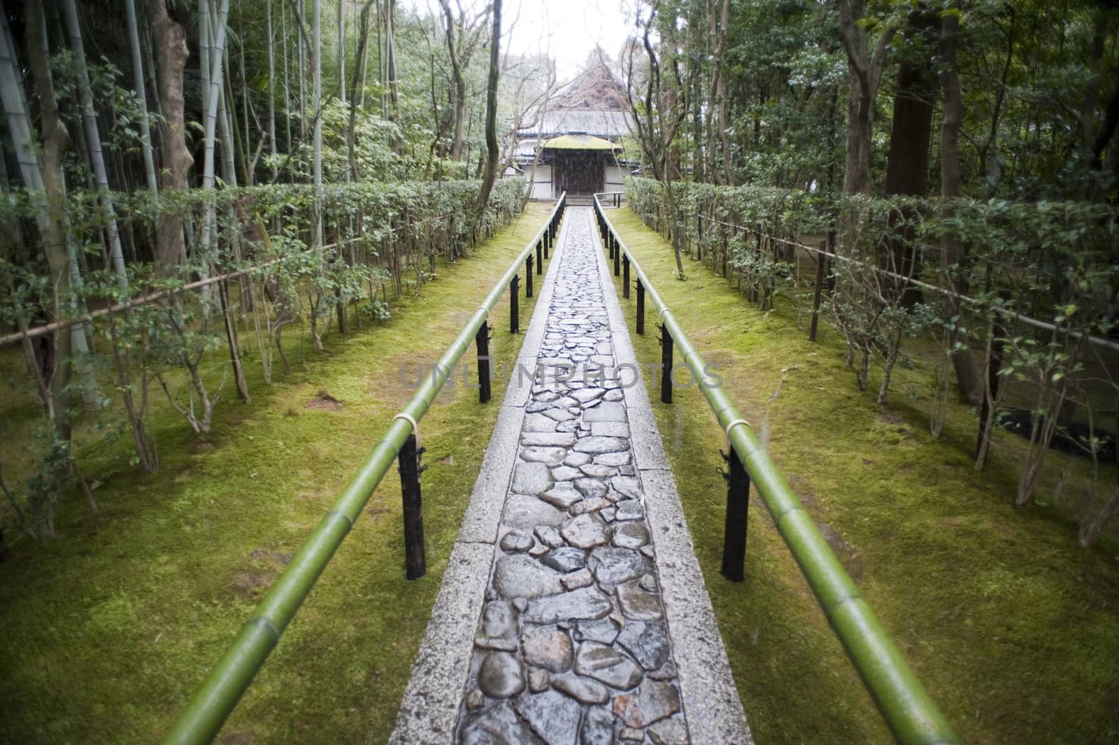 Path to the Koto-in, the sub-temple of Daitoku-ji by stockarch