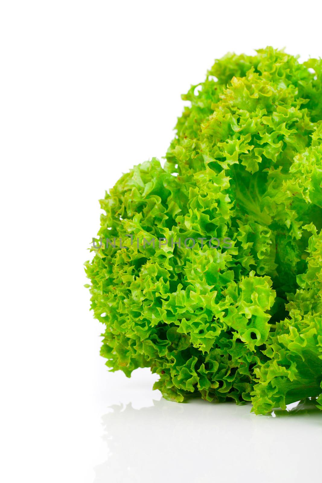 Fresh lettuce leaves isolated on white background by motorolka