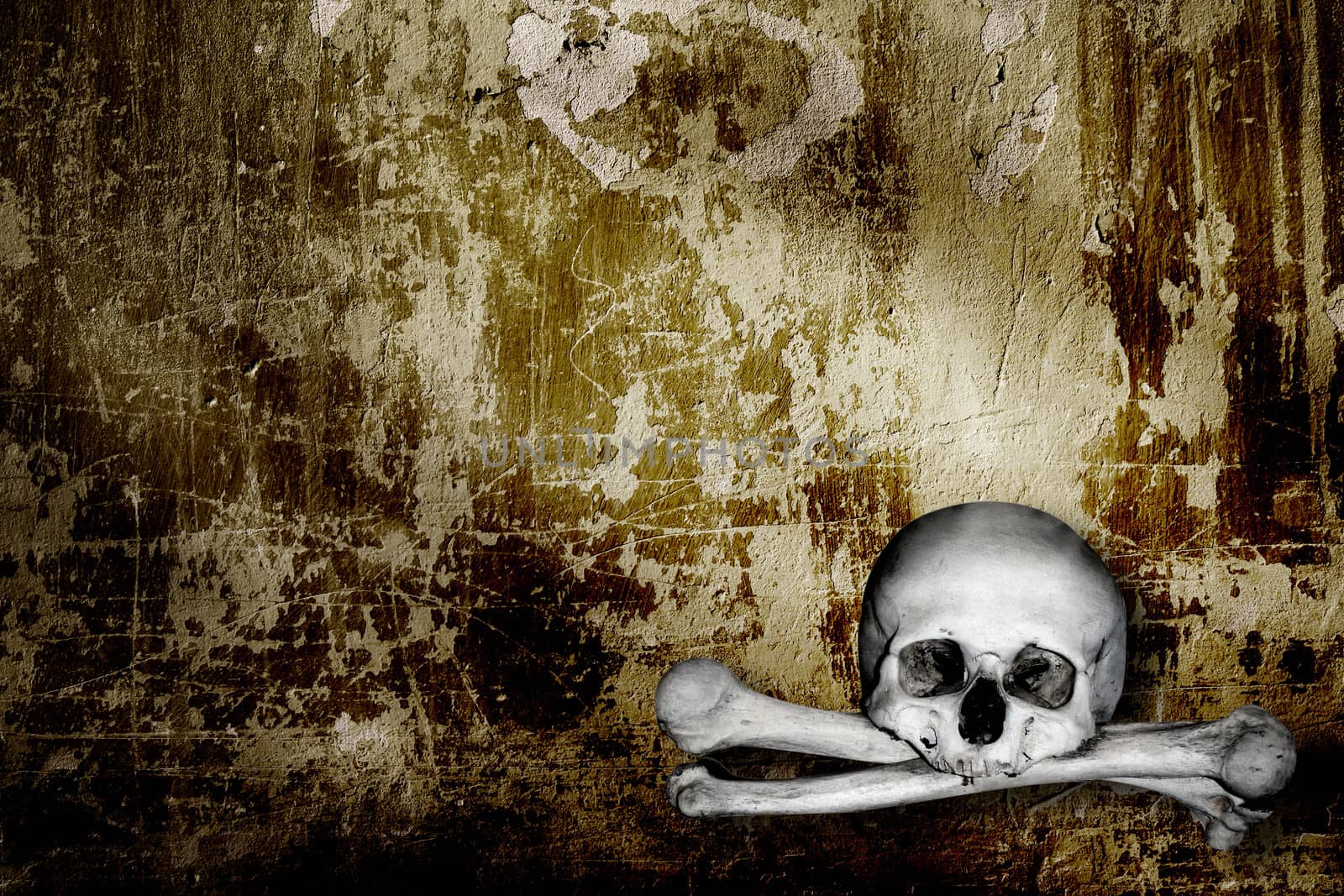 Grunge background with human skulls and bones