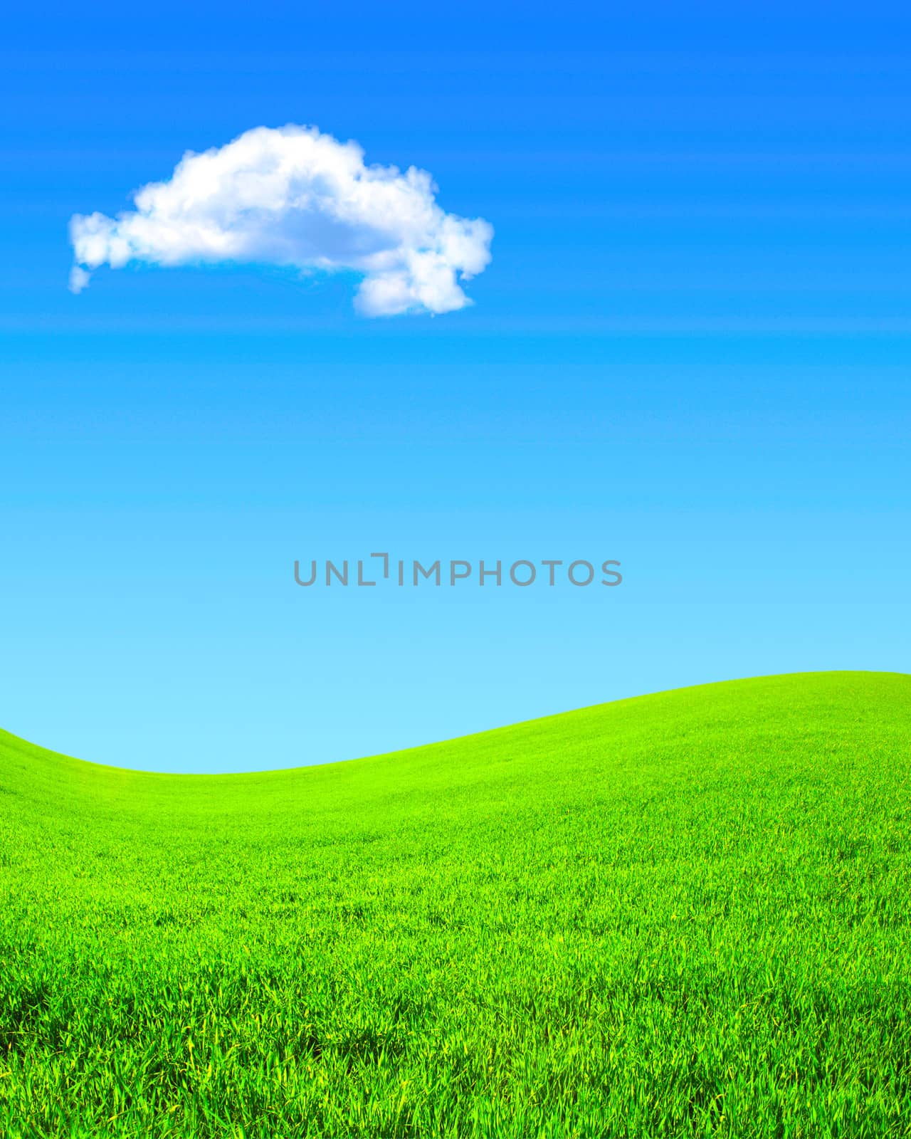Beautiful summer landscape. A green field, blue sky