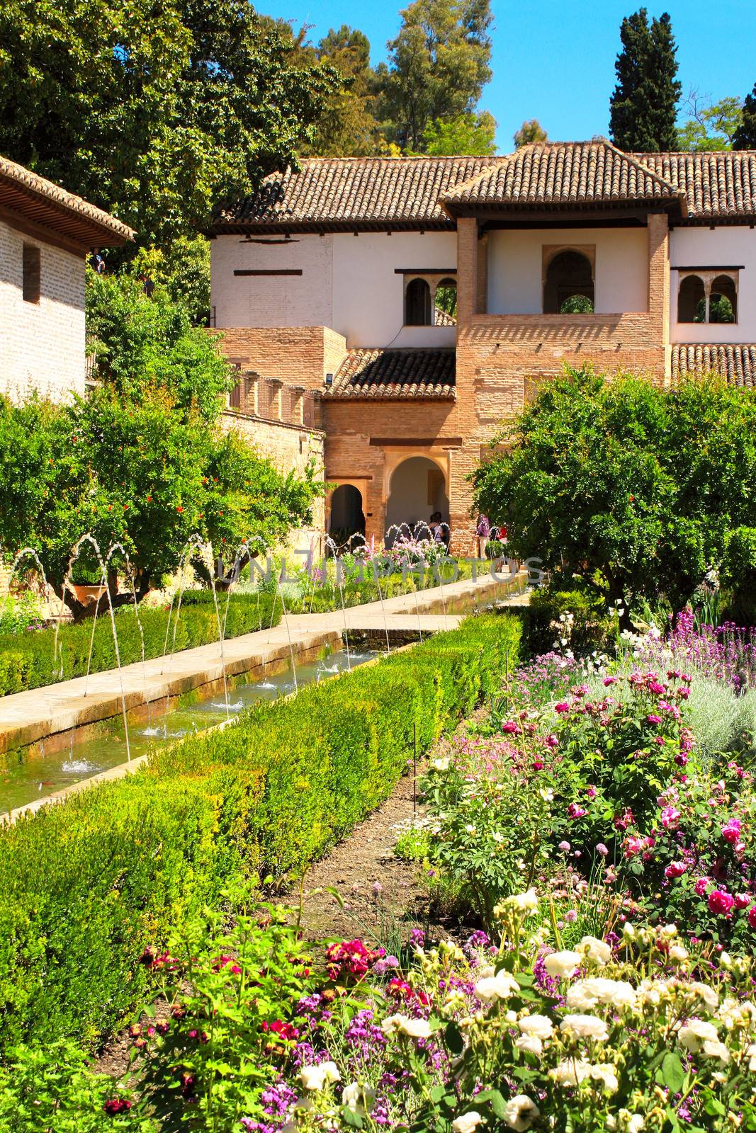 Patio in Alhambra by frenta