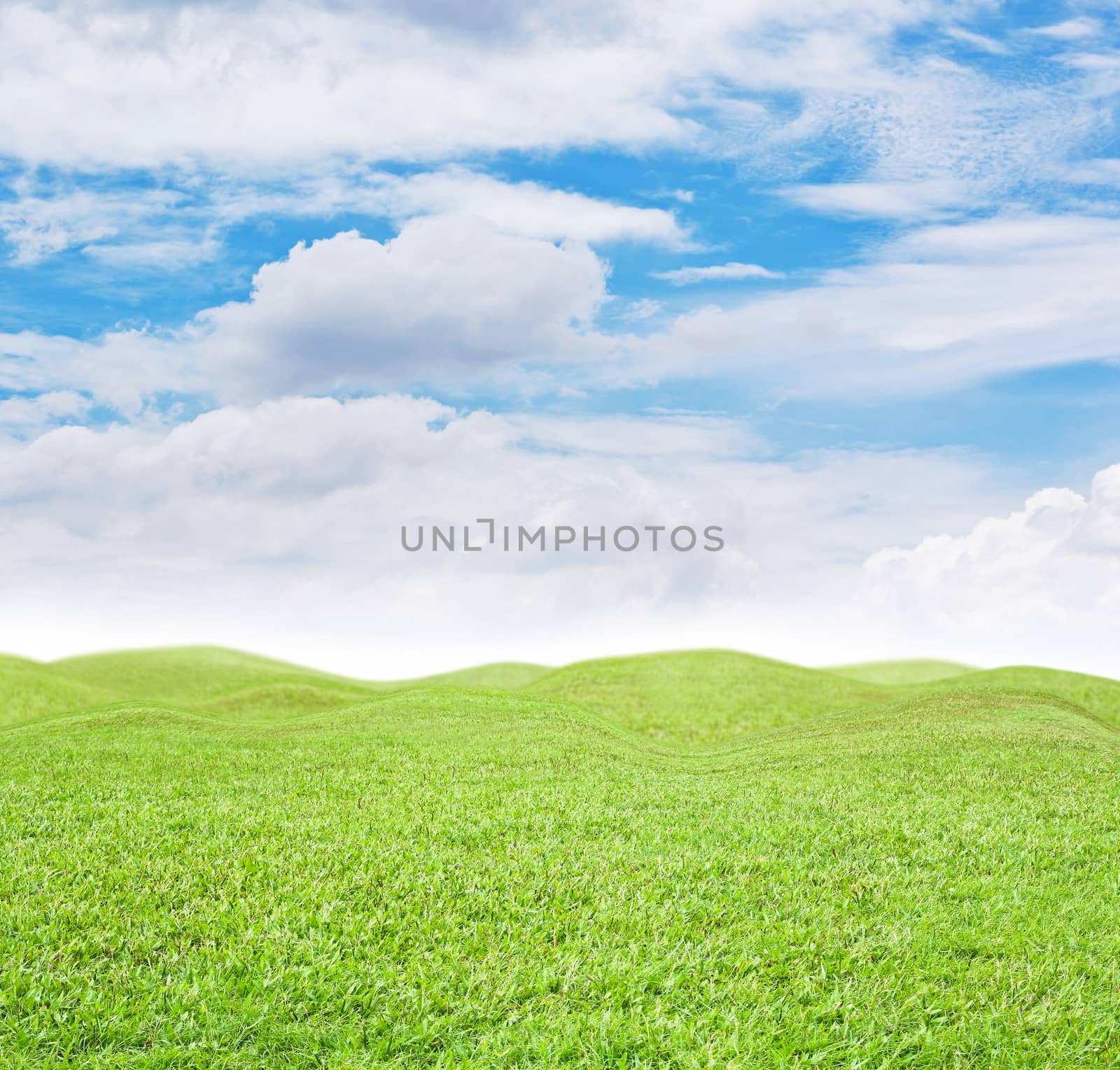 Nature background