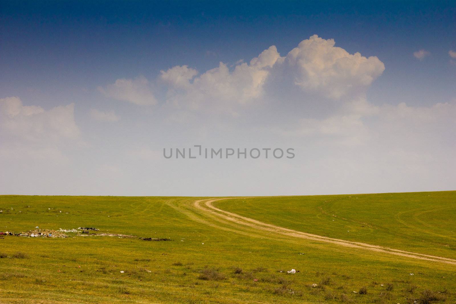 green field with a road