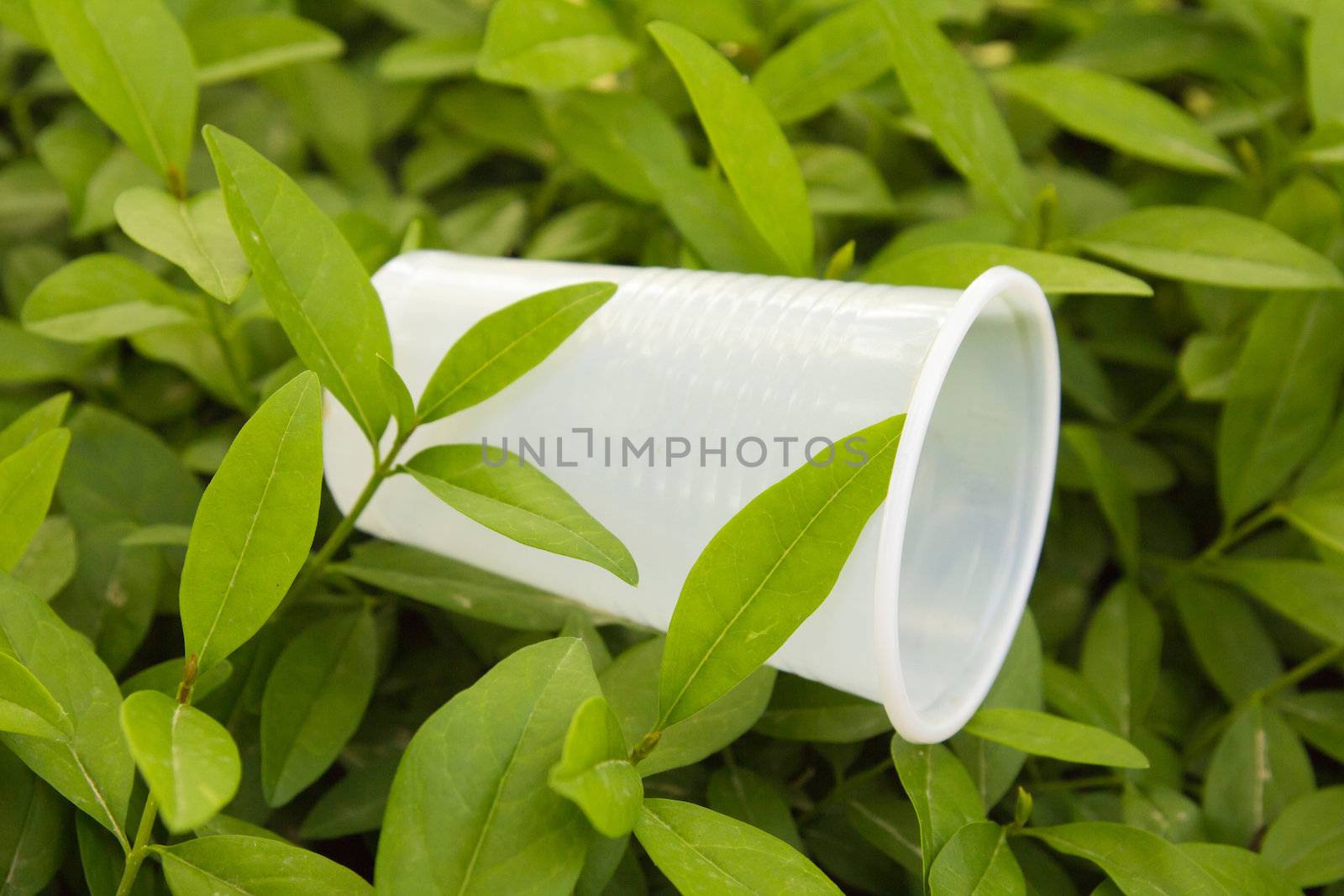 plastic cup on the nature by schankz
