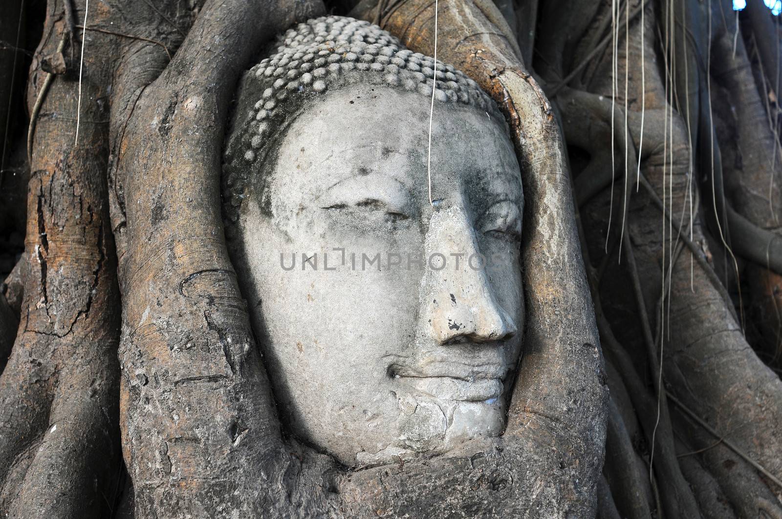 Head of Sandstone Buddha surrounded in The Tree Roots at Wat Mahathat, Ayutthaya, Thailand 