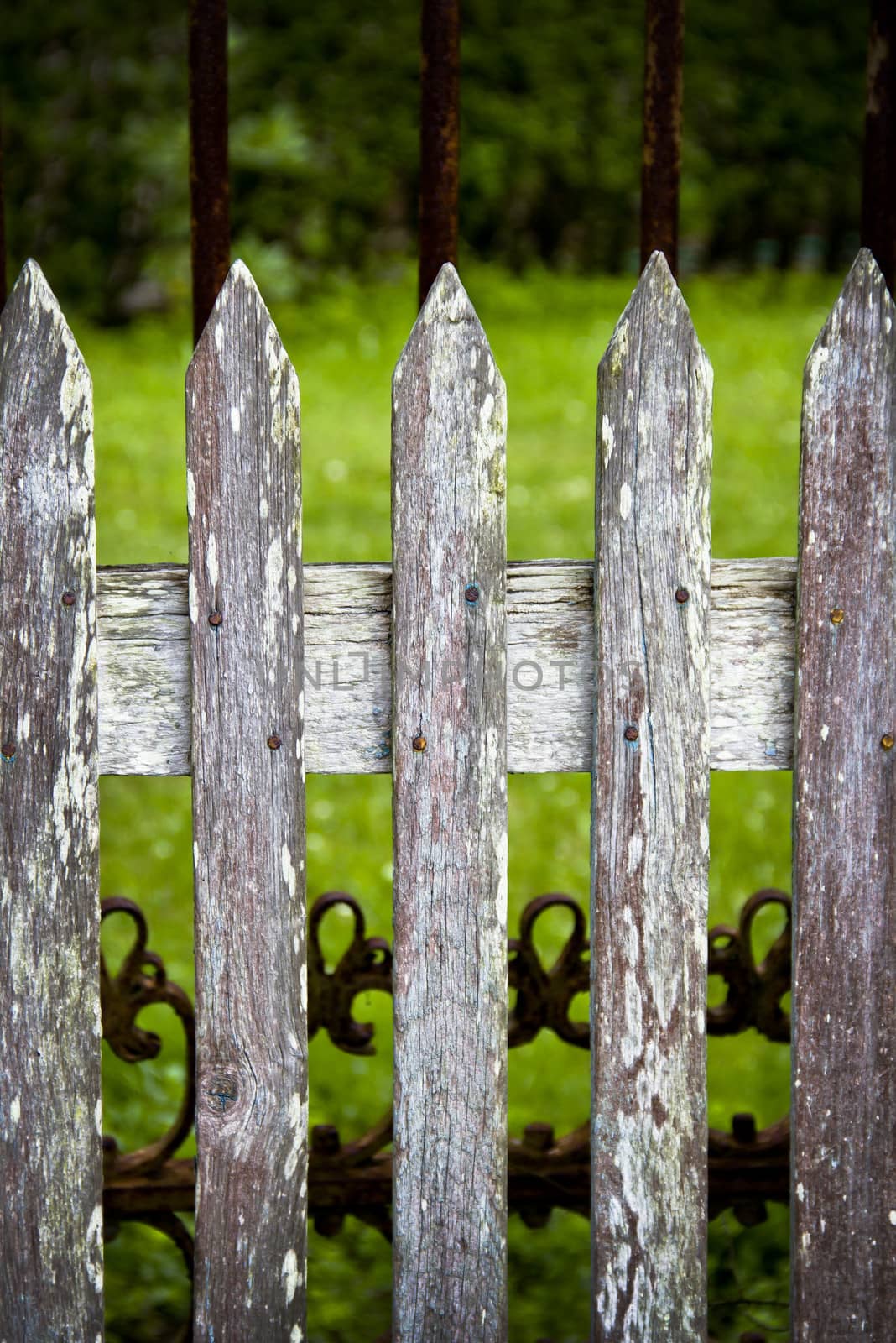 wooden fence on green background