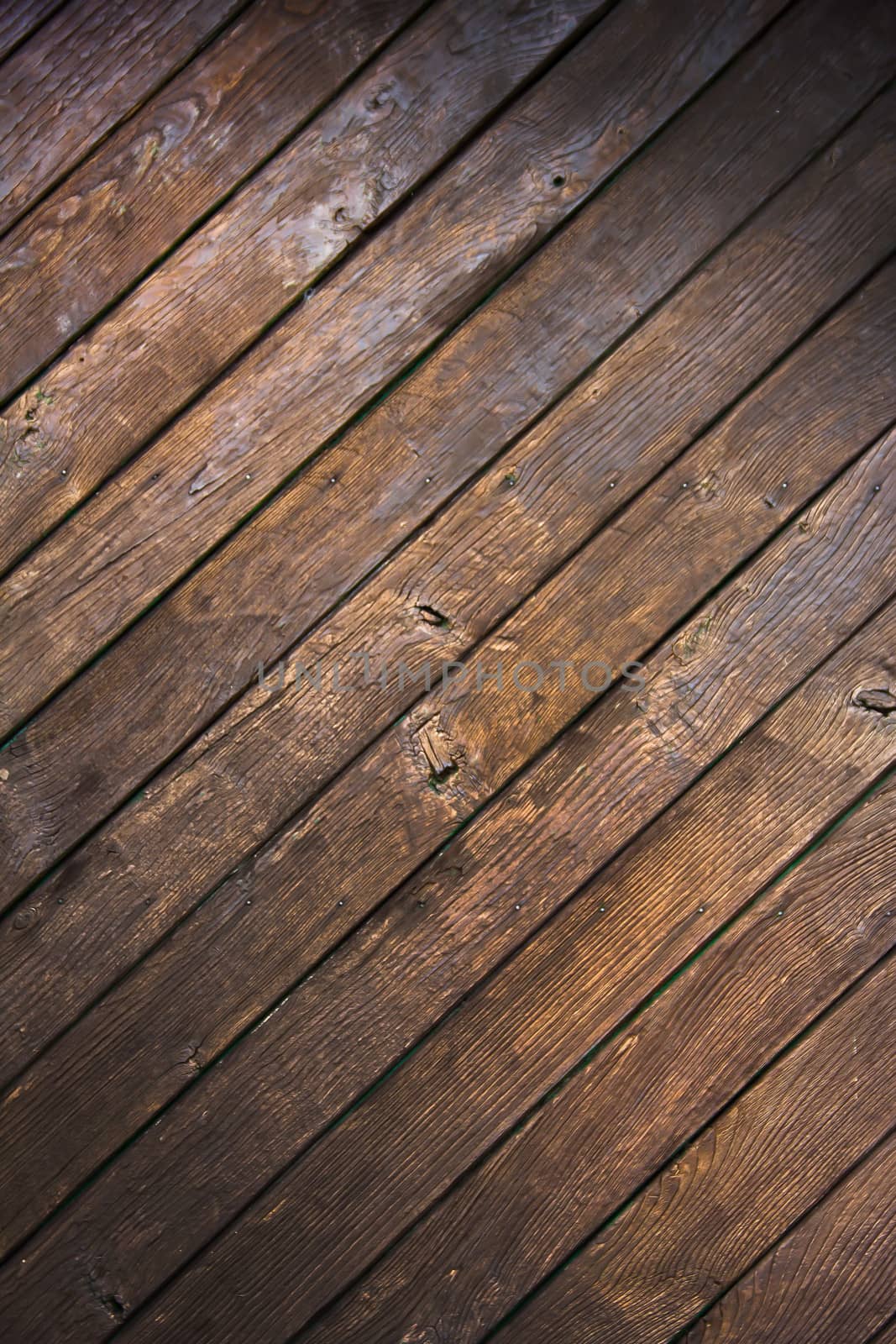 Wood texture by marco_govel