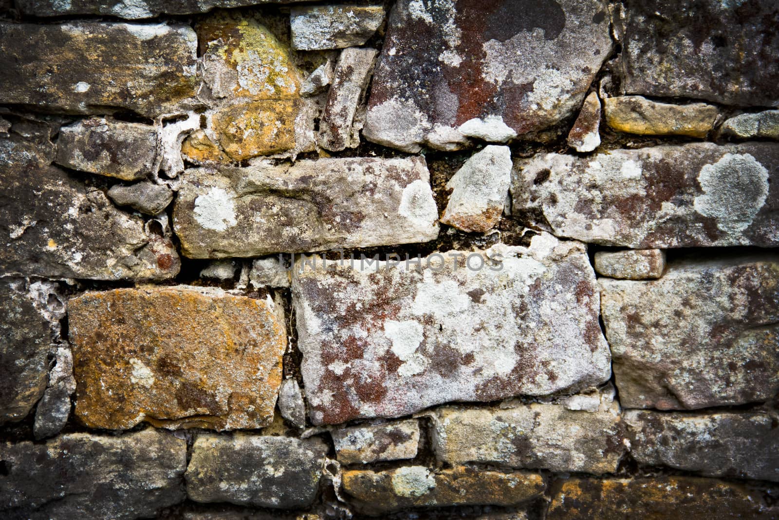 stone texture by marco_govel