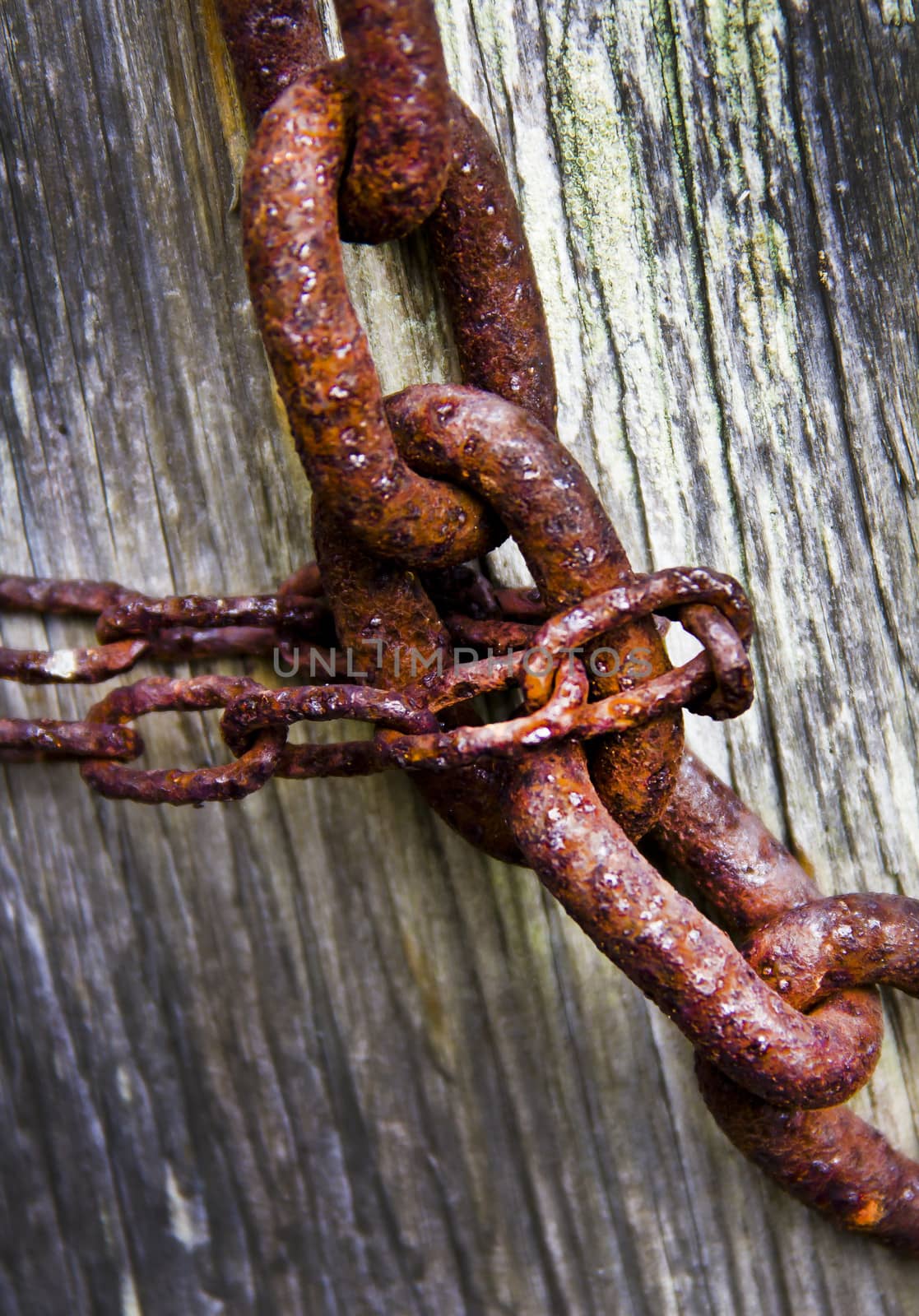 rusty chain by marco_govel