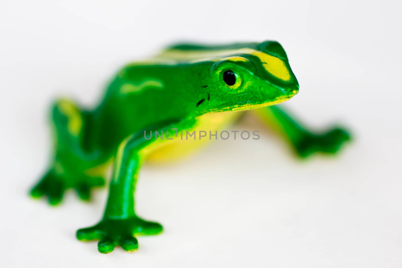 Plastic frog by marco_govel