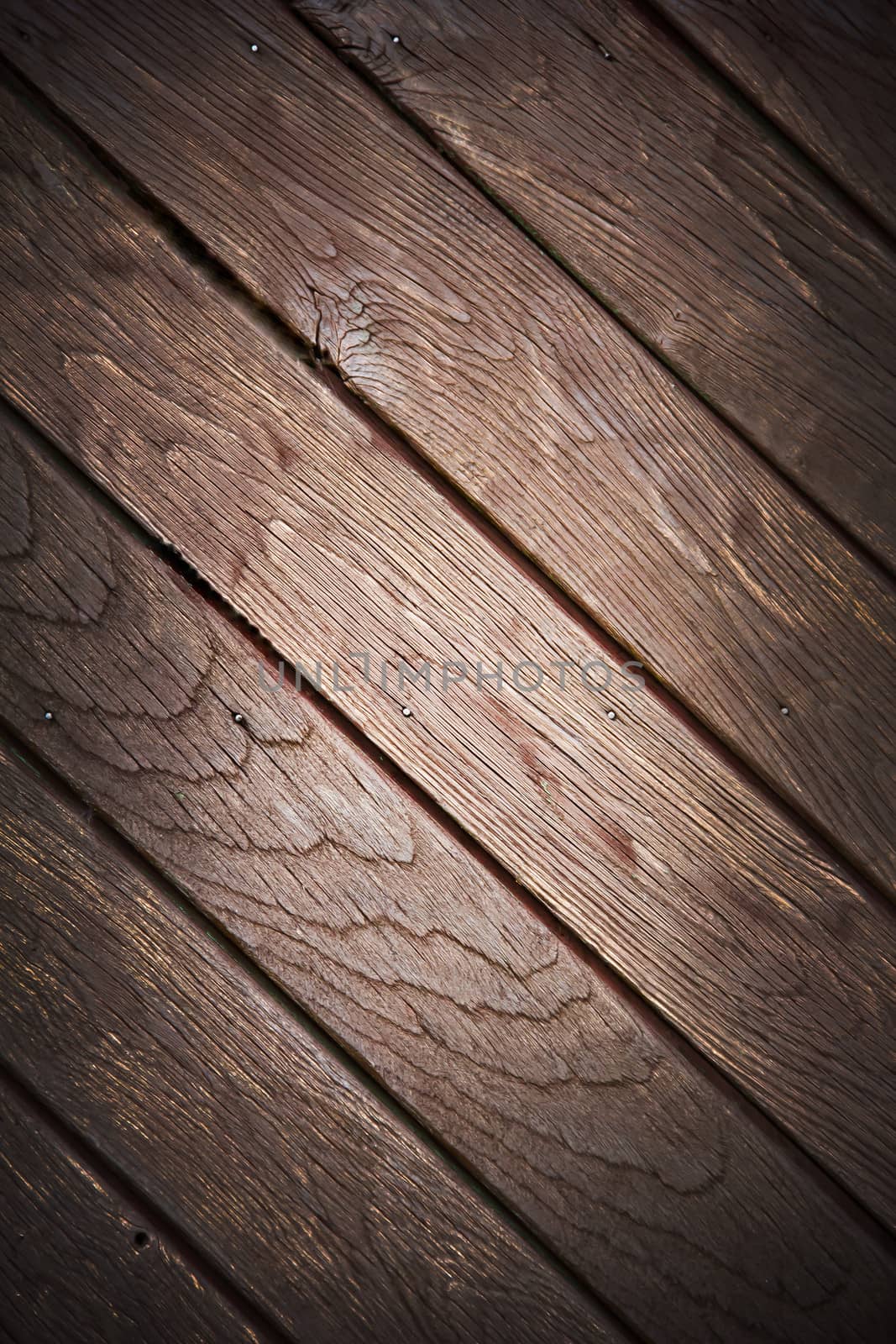 Wood texture by marco_govel