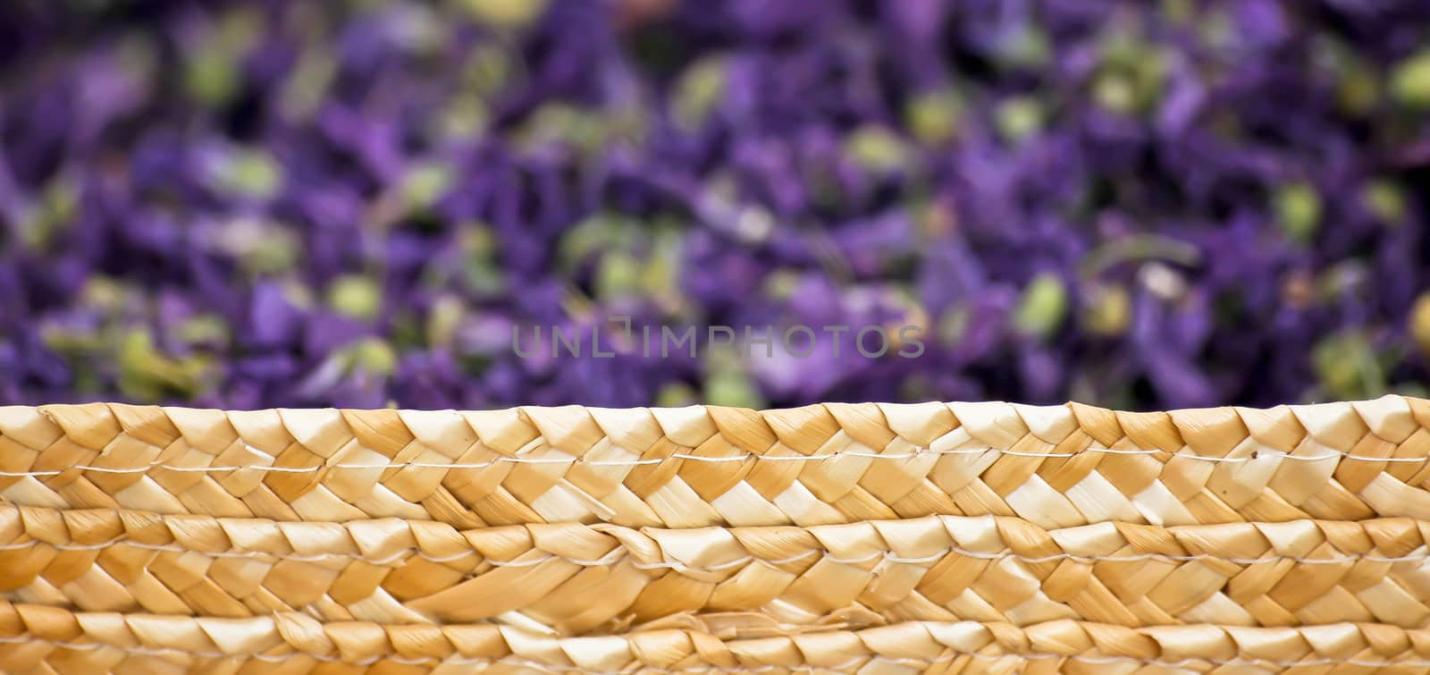 flower basket by marco_govel