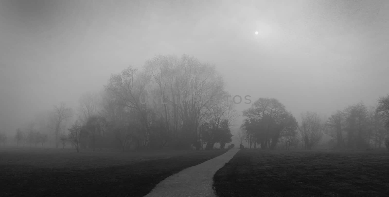 Landscape with fog by marco_govel