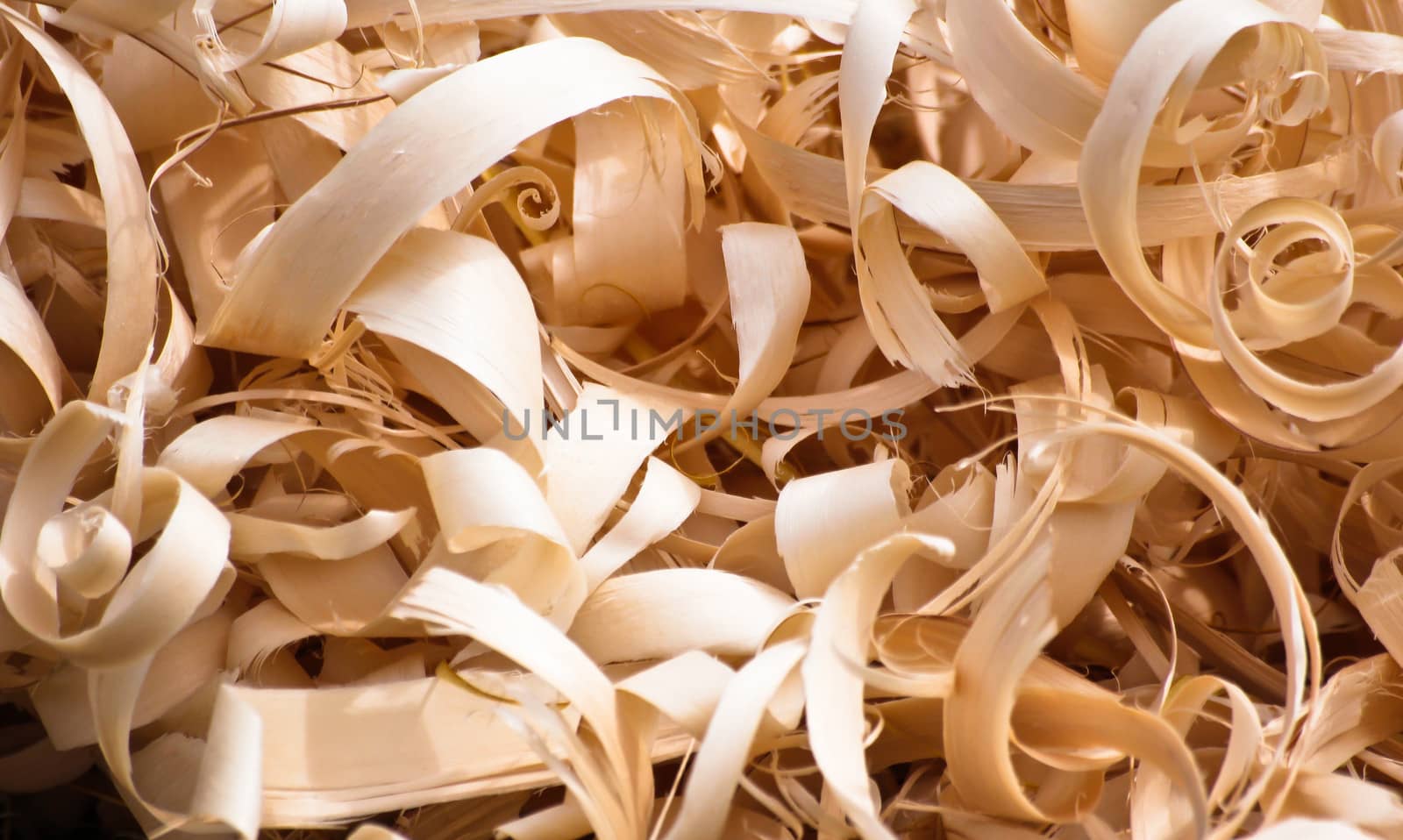 wood shavings by marco_govel