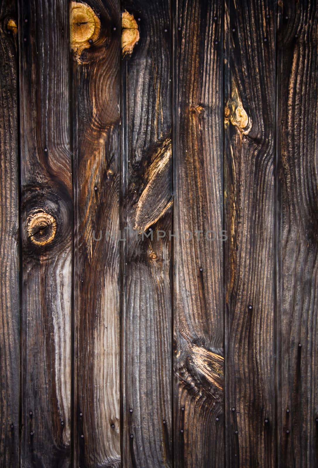 Wood texture by marco_govel