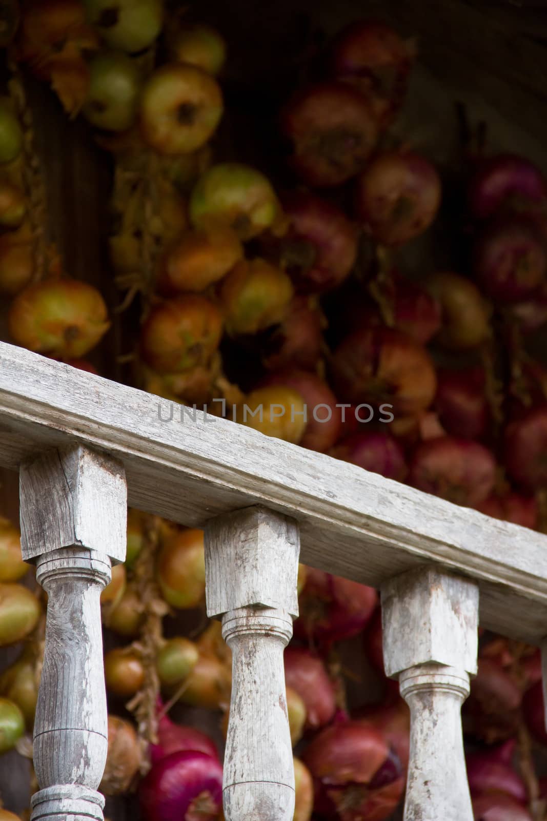 fence of a traditional construction with an onions background in Asturias, Spain