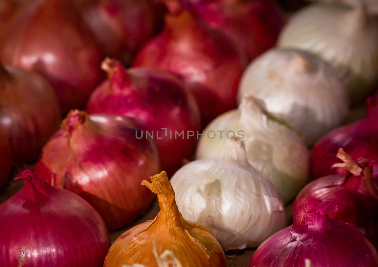 group of onions in rows