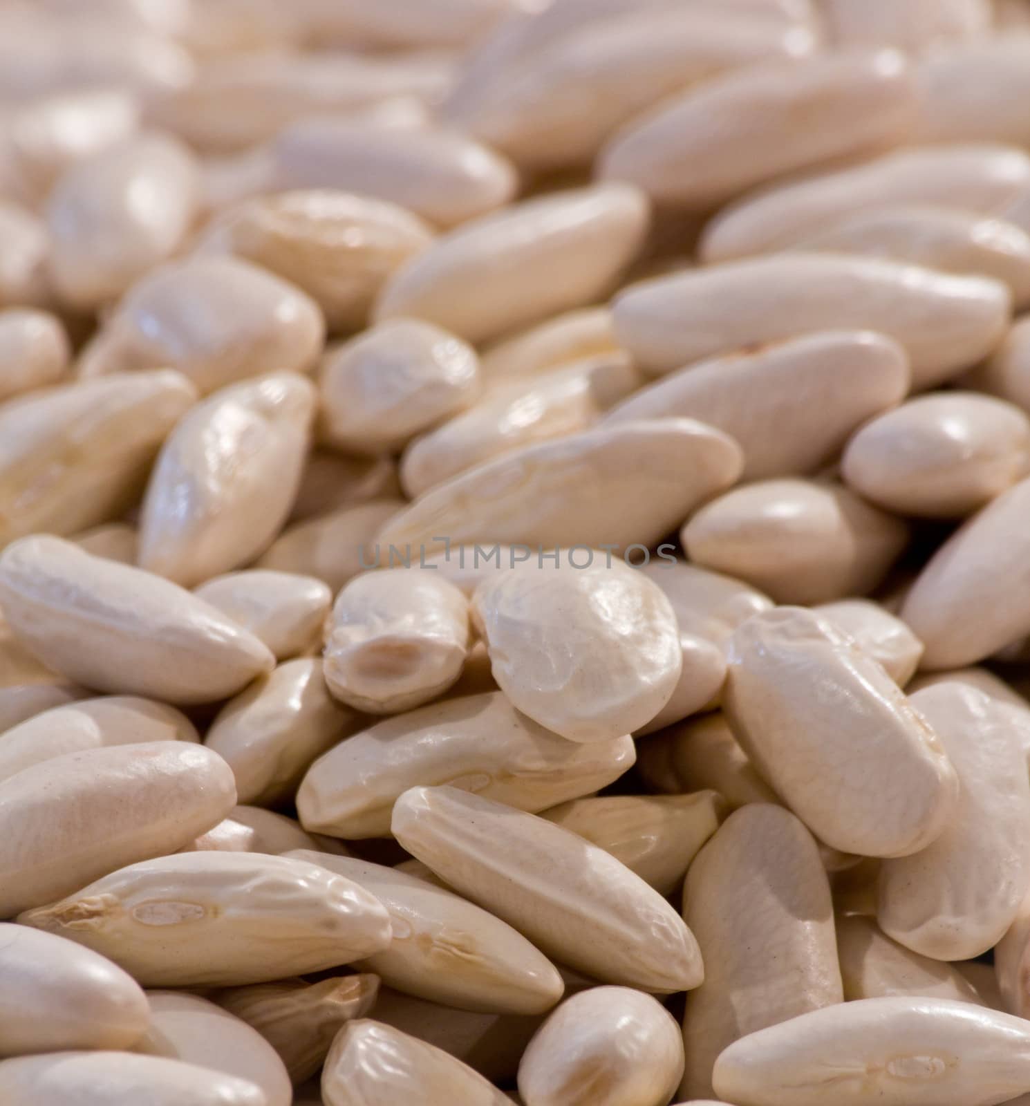 typical Asturian beans in a market