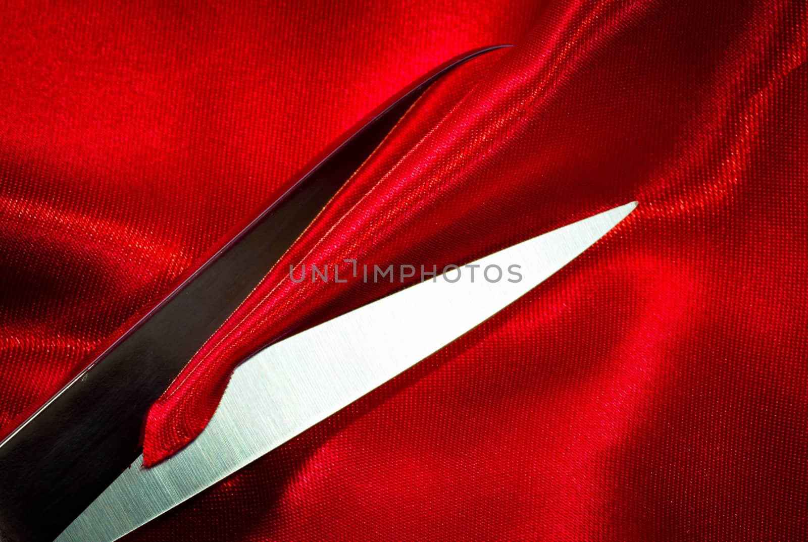 scissors on red fabric by marco_govel