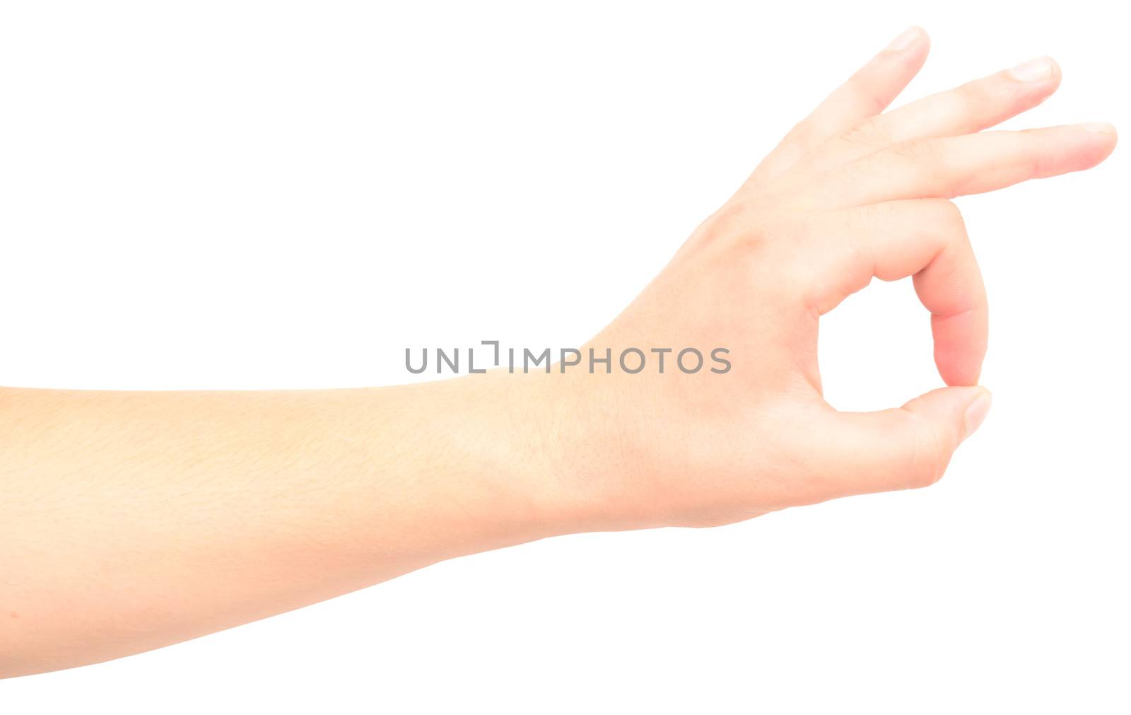 hand isolated on a white background