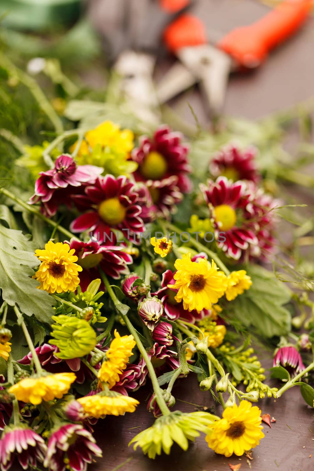 Secateurs with flowers by shebeko