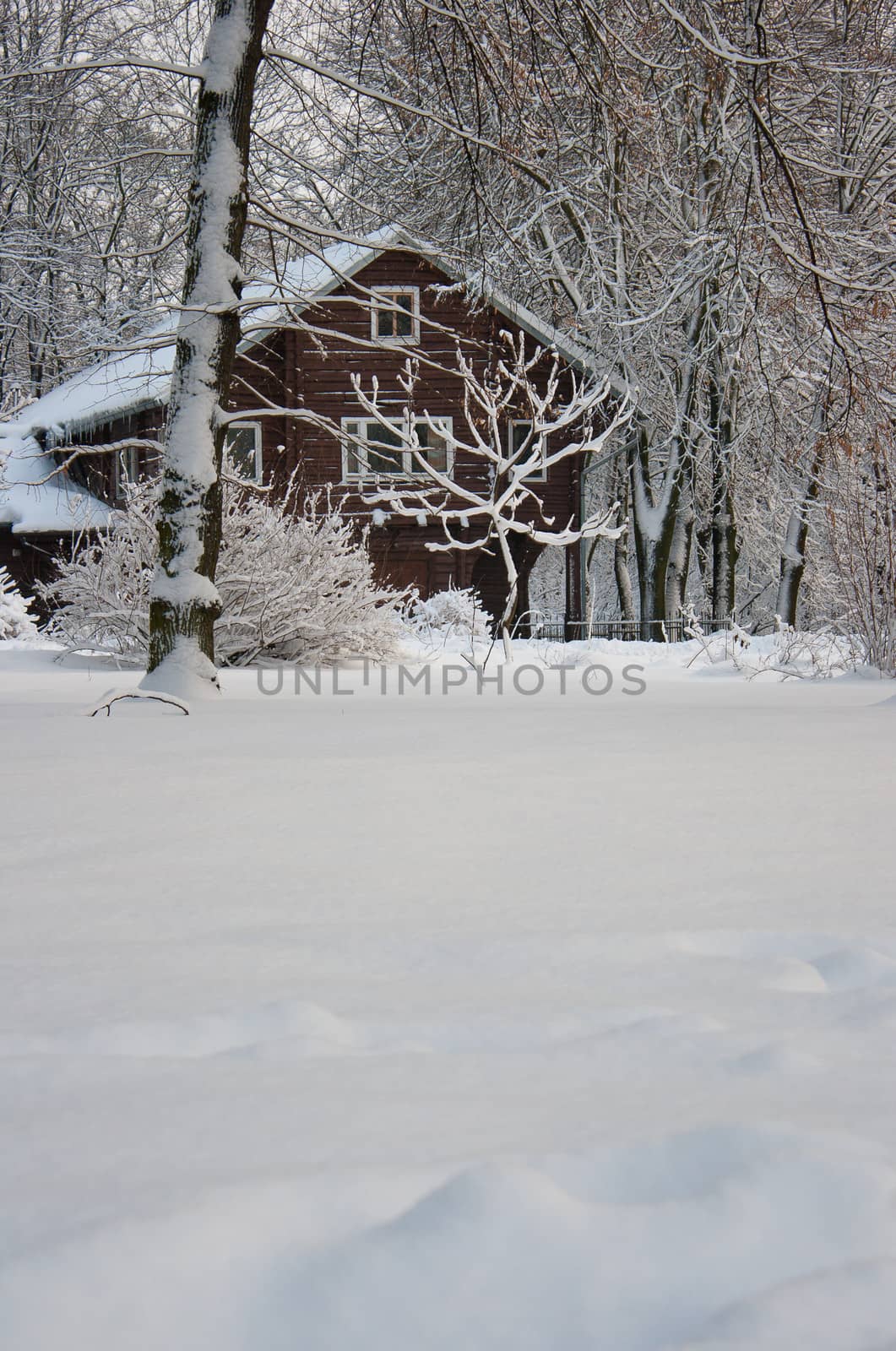 The snowy house by raddnatt