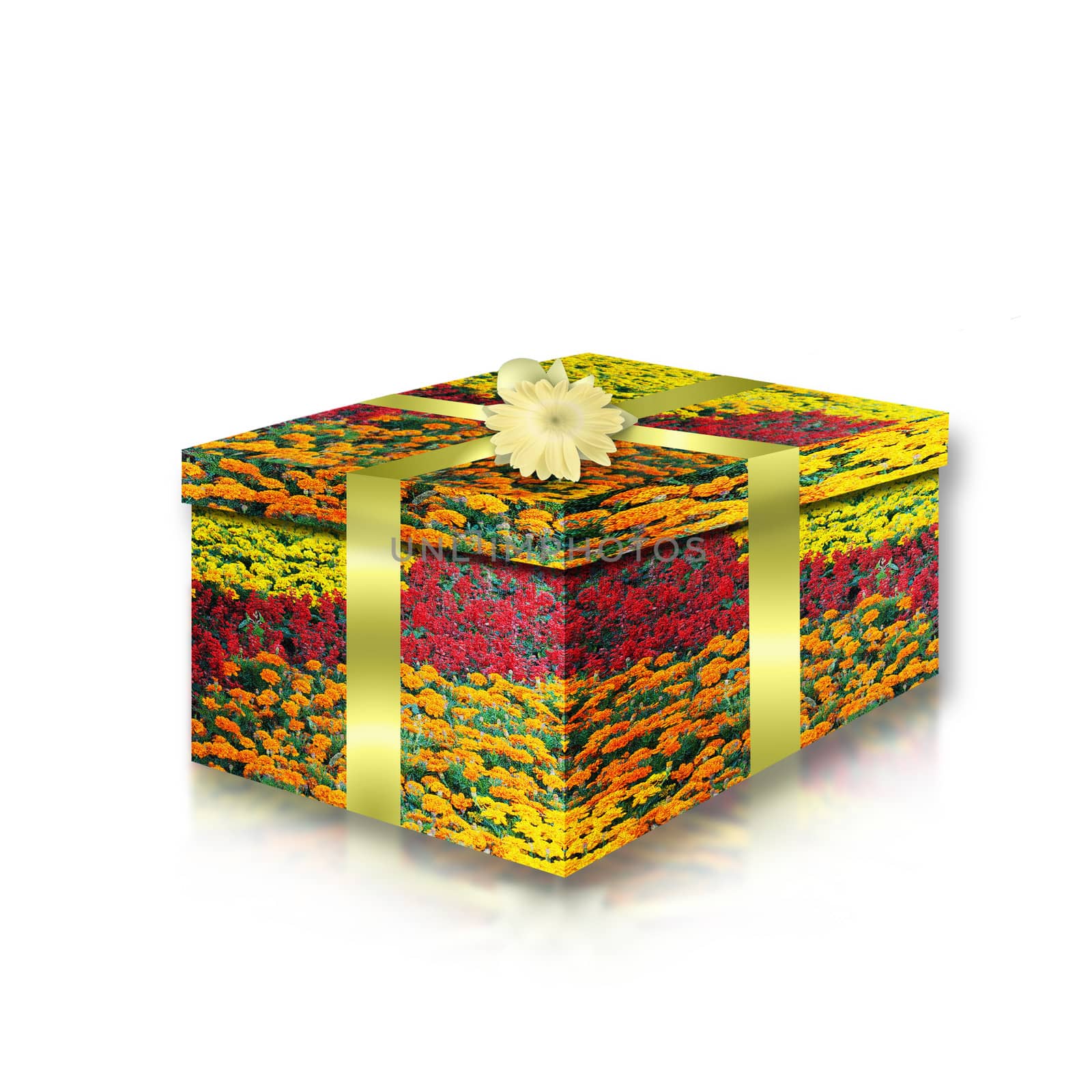 colorful box for a gift by raddnatt