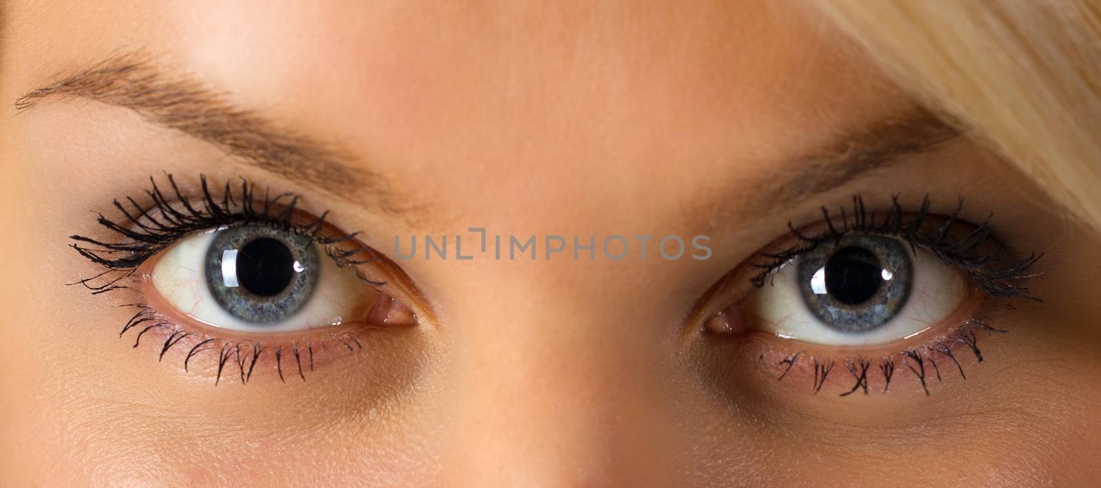 beautiful young woman's blue eyes closeup 