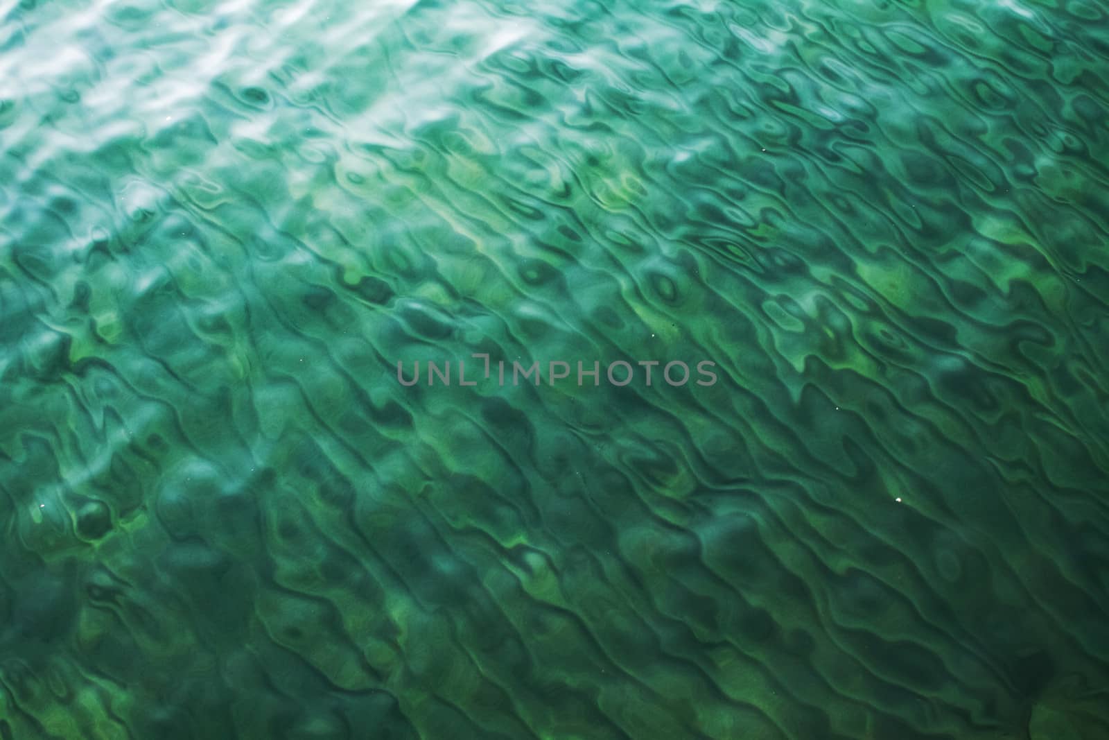 green waves by the lake on summer morning as texture