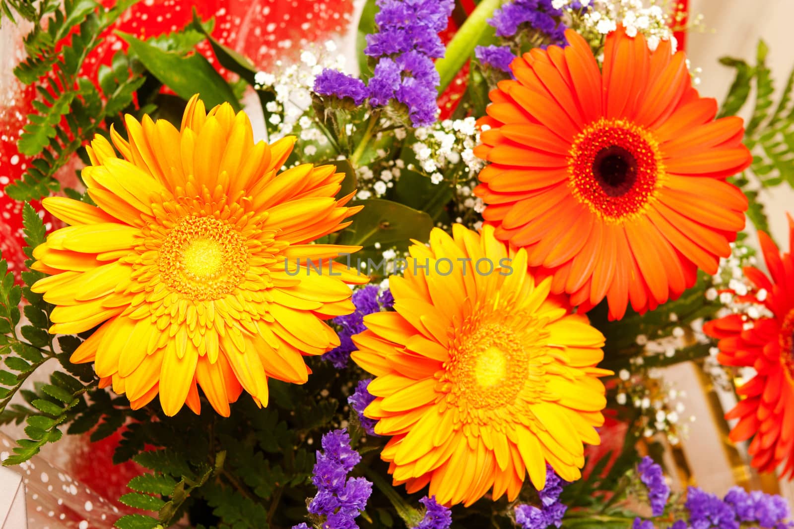 bright flowers by vsurkov