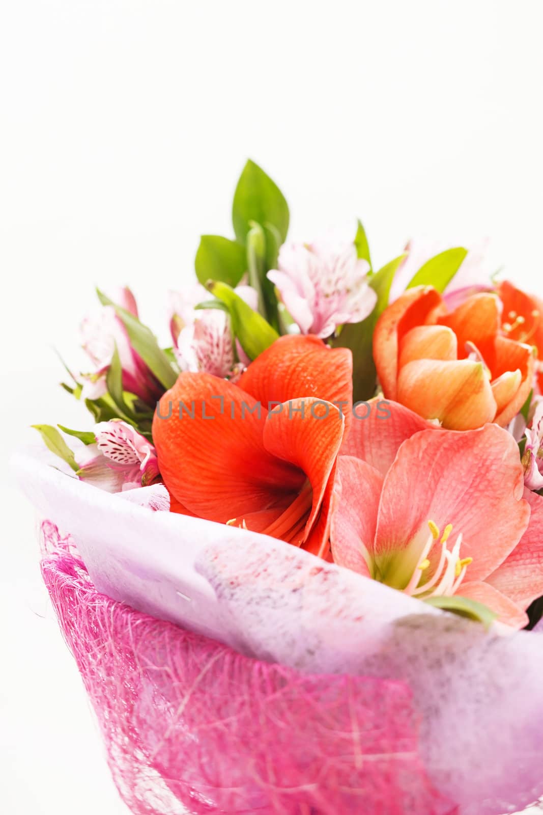 flowers bouquet by shebeko