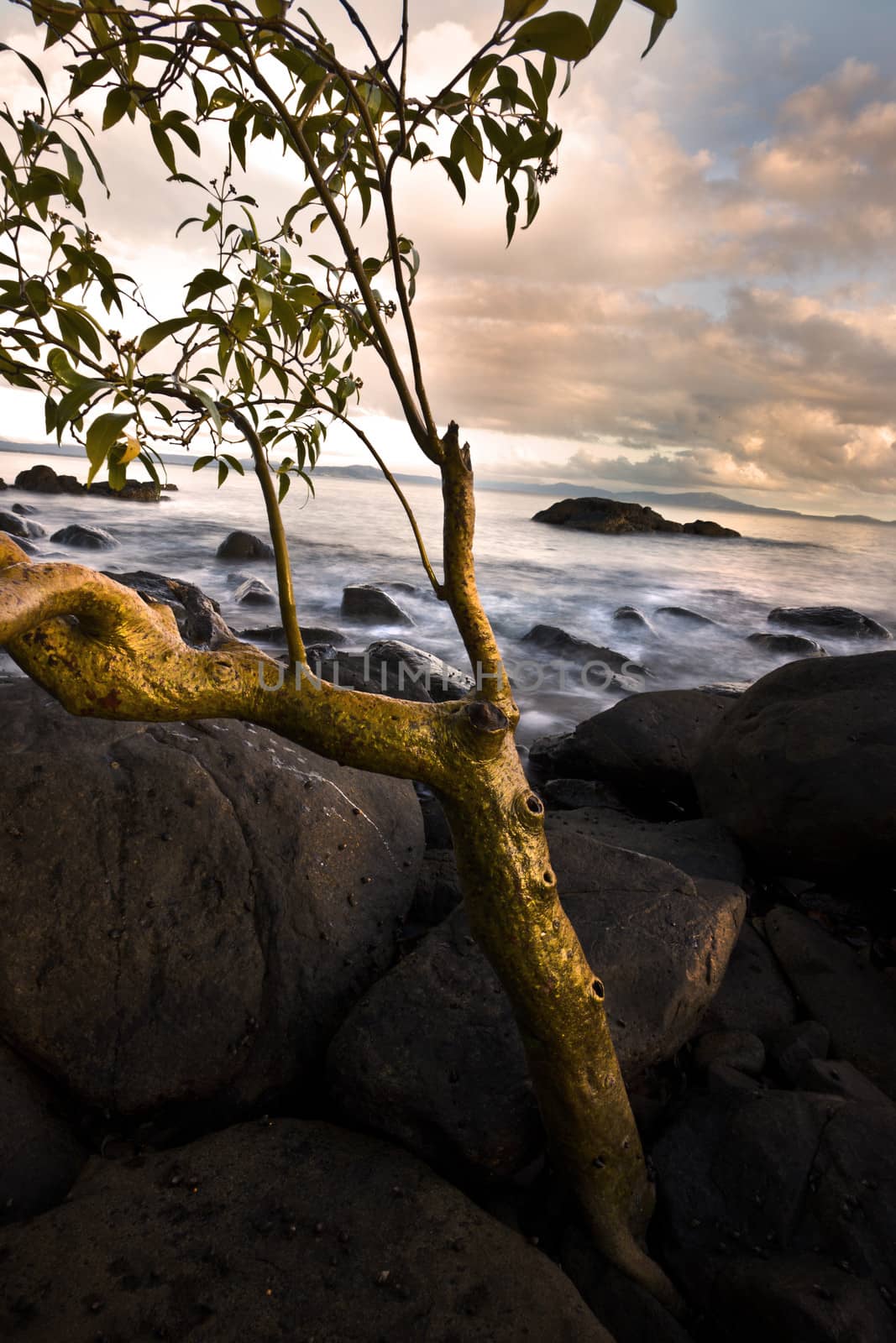 View of a beach with rocks by jrstock